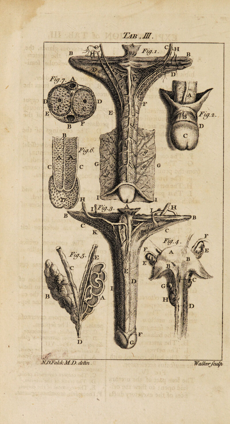 TdB .IH. N.D.Fa IckM. ]). deh/i WaJ/cer/cufyi