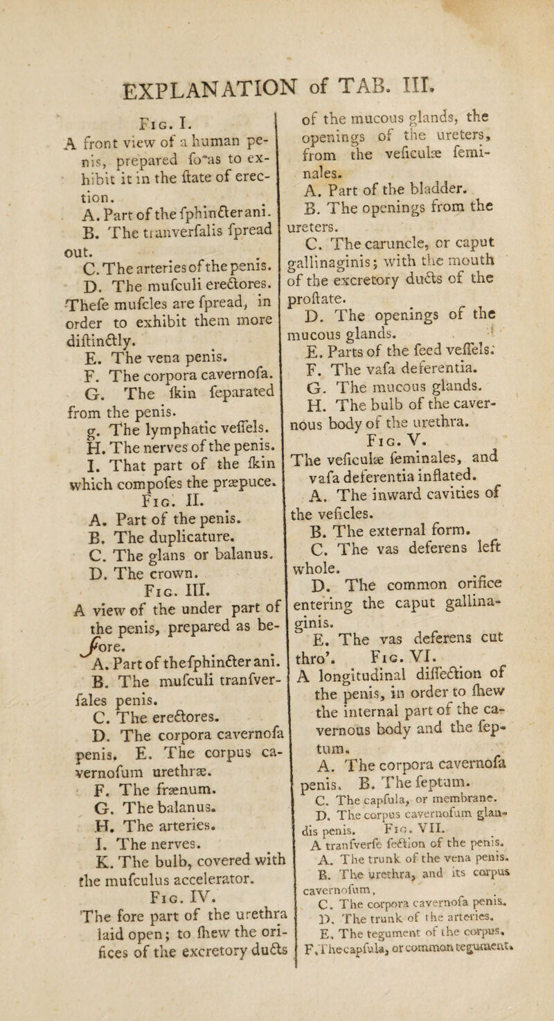 Fig.I. A front view of a human pe¬ ris, prepared fo“as to ex¬ hibit it in the hate of erec¬ tion. A. Part of the fphinderani. 33. The ttanverfalis fpread out. C. The arteries of the penis. D. The mufculi eredores. Thefe mufcles are fpread, in order to exhibit them more diftindly. E. The vena penis. F. The corpora cavernofa. G. The ikin feparated from the penis. g. The lymphatic veflels. H. The nerves of the penis. I. That part of the Ikin which compofes the praepuce. Fig. II. A. Part of the penis. B. The duplicature. C. The glans or balanus. D. The crown. Fig. III. A view of the under part of the penis, prepared as be¬ fore. A. Part of thefphinder ani. B. The mufculi tranfver- fales penis. C. The eredores. D. The corpora cavernofa penis. E. The corpus ca- vernofum urethrae. F. The frsenum. G. The balanus. H. The arteries. I. The nerves. K. The bulb, covered with the mufculus accelerator. Fig.IV. The fore part of the urethra iaid open; to (hew the ori¬ fices of the excretory duds of the mucous glands, the openings of the ureters, from the veficulae femi- nales. A. Part of the bladder. B. The openings from the ureters. C. The caruncle, or caput gallinaginis; with the mouth of the excretory duds of the proftate. D. The openings of the mucous glands. E. Parts of the feed velfels; F. The vafa deferentia. G. The mucous glands. H. The bulb of the caver¬ nous body of the urethra. Fig. V. The veficuke feminales, and vafa deferentia inflated. A. The inward cavities of the velicles. B. The external form. C. The vas deferens left whole. D. The common orifice entering the caput gallina- ginis. E. The vas deferens cut thro’. Fig. VI. A longitudinal difiedion of the penis, in order to fhew the internal part of the ca¬ vernous body and the fep® turn. A. The corpora cavernofa penis. B. The feptum. C. The capful a, or membrane. D, The corpus cavernofum glan- dis penis. Fio. VII. A tranfverfe fe&ion of the penis. A. The trunk of the vena penis. B. The urethra, and its corpus cavernofum, C. The corpora cavernofa penis. D. The trunk, of the arteries. E. The tegument of the corpus. F.Thecapfula, or common tegument*