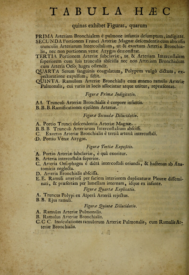 TABULA H jE C X ' quinas exhibet Figuras, quarum PRIMA Arteriam Bronchialem e pulmone infantis defumptam,indigitat. SECUNDA Portionem Trunci Arteriae Magn^ defcendentis cum ablciffis trunculis Arteriarum Intercodalium, ut exortum Arteria Bronchia¬ lis, nec non portionem venae Azygos demonftrat. TERTIA Portionem Arteriae fubclaviae, uCy 6c Arteriam Jntercoftalem fuperiorem cum fuis trunculis abfcilEs nec noii Arteiiam Bronchialem cum Arteria Oefoj hagea oftendit. l/ QUARTA Serum fanguinis coagulatum, Polypum vulgo didtum, ex- peftoratione expulfum, fiftit. > QUINTA. Ramulum Arteriae Bronchialis cum annexo ramulo Arteria Pulmonalis, cui variis in locis aflbciatur atque unitur, repr^efentat. Figura Prima Indigitatio, ^ A A Trunculi Arteriae Bronchialis e corpore infantis. B.B.B.Ramificationes ejufdcm Arteriie. Figura Secunda Dilucidatio, A. Portio Trunci defcendentis Arteriae Magnse. B. B.B. Trunculi Arteriarum Intercoftalium abfciffi. C. Exortus Arteriae Bronchialis e tertia arteria intcrcoftali. Portio Venx Azygos. . . Figura Fertia Expofetio. A. Portio Arteriae lubclavi^, e qua exoritur. B. Arteria intercoftalis fuperior. ^ ^ C. Arteria Oefophagea e di6ta intercoftali oriunda, 8c hadtenus ab. Ana¬ tomicis negledba. D. Arteria Bronchialis abfcifla. ^ E. E. Ramuli arteriofi per faciem interiorem duplicaturae Pleura diflemi- nati, &: praefertim per lamellam internam, idque ex infante. Figura ^arta Explicatio. A. Truncus Polypi ex Alpera Arteria rejedlus. B. B. Ejus ramuli. ' Figura ^inta Dilucidatio. A. Ramulus Arteriae Pulmonalis. B. Ramulus Arteriae Bronchialis. C. C C. Inofculationcs ramulorum Arteriae Pulmonalis, cum Ramulis Ar¬ teriae Bronchialis.