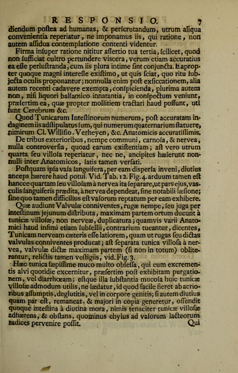 diendum pbftea ad humanas, & pericrutandum, utrum aliqua convenientia reperiatur, ne imponamus iis, qui ratione, non autem aflidua contemplatione contenti videntur. Firma infuper ratione nititur allertio tua tertia,Icilicet, quod non lufficiat cultro pertundere viscera, verum etiam accuratius ea efle perluftranda, cum iis plura intime fint conjunda. Eaprop¬ ter quoque magni interefle exiftimo, ut quis fciat, quo ritu fub- jeda oculis proponantur; nonnulla enim poft exficcationem, alia autem recenti cadavere exempta, confpicienda, plurima autem non, nifi liquori ballamico.innatantia, inconfpedum veniunt, prselertim ea, quas propter mollitiem tradari haud poffunt, uti funt Cerebrum &c. Quod Tunicarum Inteftinorum numerum , poft accuratam in¬ daginem iis adftipulatus Ium, qui numerum quaternarium ftatuerc, pimirum Cl.Willifio,Verheyen, &g. Anatomicis accuratiffimis. De tribus exterioribus, nempe communi, carnola, & nervea, nulla controverfia, quoad earum exiftentiam; aft vero utrum quarta feu villofa reperiatur, nec ne, ancipites haslerunt non¬ nulli inter Anatomicos, fatis tamen verfati. Poftquam ipfa vafa Ianguifera,per eam disperia inveni, diutius anceps haerere haud potui. Vid.Tab. 12. Fig.4.arduum tamen eft hanccequartam feu villolam a nervea ita leparare,ut pars ejus,vas¬ culis [anguiferis prjedita, a nervea dependeat, fine notabili Isefione; fine quo tamen difficilius eft vaforum reptatum per eam exhibere. Quae audiunt Valvulae conniventes, rugas nempe, feu juga per mteftinum jejunum diftributa, maximam partem ortum ducunt a tunicas villolas, non nerveae, duplicatura; quamvis varii Anato¬ mici haud infimi etiam lubfellii,contrarium tueantur,dicentes. Tunicam nerveam caeteris effe latiorem, quam ut rugas feu didas valvulas conniventes producat; aft feparata tunica villofa a ner¬ vea, valvulas didas maximam partem (fi non in totum) oblite- rantur, relidis tamen veftigiis, vid. Fig. 3. JHasc tunicafaspiffime muco multo obTeffa, qui cum excremen¬ tis alvi quotidie excernitur, praefertim poft exhibitam purgatio¬ nem , vel diarrhoeam; eftque illa lubftantia mucofa huic tunicae yillofe admodum utilis, ne laedatur, id quod facile fieret ab acrio¬ ribus affumptis .deglutitis, vel in corpore genitis; fi autem diutius quam par eft, remaneat> & majori in copia generetur, offendit quoque inteftina a diutina mora, nimis tenaciter tunicae villofae adhaerens, & obftans, quominus chylus ad valorum ladeorum xadices pervenire poffit. Qui