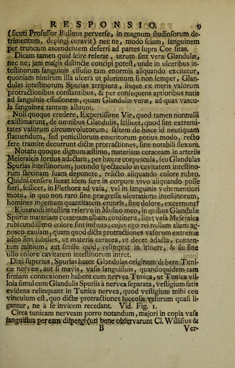 ( ficuti ProfefTor Bidlous pcryerfe, in magnum ftudioforum de¬ trimentum, depingi curavit) necne, modofciam, fanguinem per truncum ascendentem deferri ad partes fupra Cor fitas. - Dicam tamen guid fcire referat, utrum fint verse Glandulae, nec ne; jam magis diftinde concipi poteft, unde in ulceribus in- teftinorum fanguinis effufio tam enormis aliquando excitetur, quoniam nimirum illa ulcera ut plurimum fi non lemper, Glan¬ dulas inteftinoruni Spurias arripiunt, iisque ex meris valorura protradionibus conflantibus, & per confequens aptioribus natis ad fanguinis effufionemj quam Glandula verse, ad quas vascu¬ la fanguinea tantum alluunt. Noli quoque credere, Expertiflime Vir, quod tamen nonnulli exiftimarunt,.de omnibus Glandulis, fcilicet, quod fint extremi¬ tates vaforum circumvolutorum; faltem de hisce id neutiquam fiatuendum, fed penicillorum emeritorum potius modo, re6:o fere tramite decurrunt did$ protraftiones, fine notabili flexura. quoque dignum seflirno, materiam ceraceam in arteriis Meferaicis fortius adadlam, per hseccc corpuscula, feu Glandulas Spurias inteftinorum, jucundo fpcftaculo in cavitatem inteflino- rum farcinarn luam deponere, reli£lo aliquando colore rubro. Quidni cenfere liceat idem fere in corpore vivo aliquando poiTe fieri, fcilicet, in Plethora ad vafa, vel in fanguinis vehementiori motu, in quo non raro fine praegrefla ulceratione inteflinorum, homines ingentem quantitatem cruoris,fine dolore, excernunt? Ejusmodiinteflina rcfervp in Mufseo meo, in quibus Glandula Spuriae materiam ceraceam albarn continen t, licet vafa Meleraica rubicundiflimo colore fint imbuta ; cujus ego rei nullam aliam ag¬ nosco caufam, quam quod dida protractiones vaforum extremae adeo fint fubtiles, ut materi^ ceracea, ut decet adaCla,. conten¬ tum minium, aut fimile ^quid, relinquat in itinere, & fic fine ullo colore cavitatem inteflinorum intret. Dixi fuperius, Spurias hasce Glandulas originem debere sTuni- cae rierveae, aut fi mavis, vafis fanguifluis, quandoquidem tam firmarh connexionen habent cum nervea Tunica, ut Tunica vil- lofa fimul cum Glandulis Spuriis a nervea feparata, vcfligium fatis evidens relinquant in Tunica nervea, quod vefligium mihi ceu vinculum efl,quo didas protradiones fuccpfo vaforum quafi Ib gantur, ne a fe invicem recedant. Vid. Fig. i. Circa tunicam nerveam porro notandum, majori in copia vafa fanguiflua per eam difpergi Cuci bene obfervarunt Cl. Willifius & B Yct*