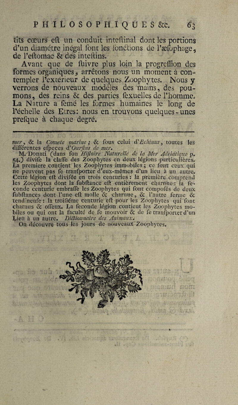 tits coeurs eft un conduit intefiinal dont les portions d^Lin diamètre inégal font les Ibndtions de l’ærophage, de reftomac & des inteftins. Avant que de fuivre plus loin la progreffion des formes organiques^ arrêtons nous un moment à con¬ templer l’extérieur de quelque^ Zoophytes. Nous y verrons de nouveaux modelés des mains, des pou¬ mons, des reins & des parties fexuelles de l’homme. La Nature a Temé les formes humaines le long de l’échelle des Etres: nous en trouvons quelques-unes - prefque à chaque degré. mer, & la Comete marine ; & fous celui à'Echinus, toutes les difî'érentes efpeces ^Ourftns de mer, M.' Donati (^dans fon Hifîoire Naturelle de ta Mer Adriatique p, 54.} divife la clafîe des Zoophytes en deux légions particulières. La première contient les Zoophytes immobiles ; ce font ceux qui ne peuvent pas fe tranfporter d’eux-mêmes d’un lieu à un autre. Cette légion eft divifée en trois centuries : la première comprend les Zoophytes dont la fubftance eft entièrement charnue : la le- conde centurie embrafle les Zoophytes qui font compofés de deux fubftances dont l’une eft molle & charnue, & l’autre ferme & tendineufe : la troiftéme centurie eft pour les Zoophytes qui font charnus & ofleux. La fécondé légion contient les Zoophytes mo¬ biles ou qui ont la faculté de fc mouvoir & de fe tranfporter d’un Lieu à un autre. DiBionnaire des Animaux, On découvre tous les jours de nouveaux Zoophytes.