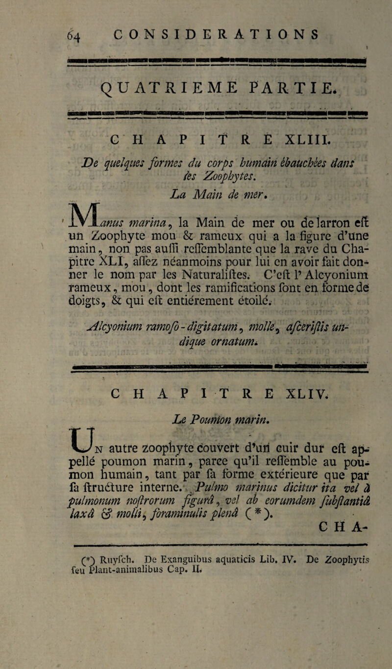 1 ■—P———»— QUATRIEME PARTIE. C El A P I T R E XLIIL De quelques formes du corps humain ébauchées dans ies Zoophytes. La Main de mer, M anus marina^ la Main de mer ou de larron eft un Zoophyte mou & rameux qui a la figure d’une main, non pas aulïï rcfiemblante que la rave du Cha¬ pitre XLI, afiez néanmoins pour lui en avoir fait don¬ ner le nom par les Naturaliftes. C’cft l’Alcyonium rameux, mou, dont les ramifications font en forme de doigts, & qui efl: entièrement étoile. Alcyonium ramofo-digitatum^ molle ^ afieriflis un- dique ornatum,. CHAPITRE XLIV. Le poumon marin, CJn autre zoophyte douvert d’un cuir dur eft ap-- pellé poumon marin, parce qu’il reflemble au poiu mon humain, tant par fa forme extérieure que par fa ftruélure , Pulmo marinas dicitur ita vel à puimonum noflrorum figurât vef ah eorumdem fuhflantiâ laxâ ^ mollir foraminuUs plenâ C H A- Riiyfch. De Exanguibus aquaticis Lib, IV. De Zoophytis feu Plant-animalibus Cap. II,