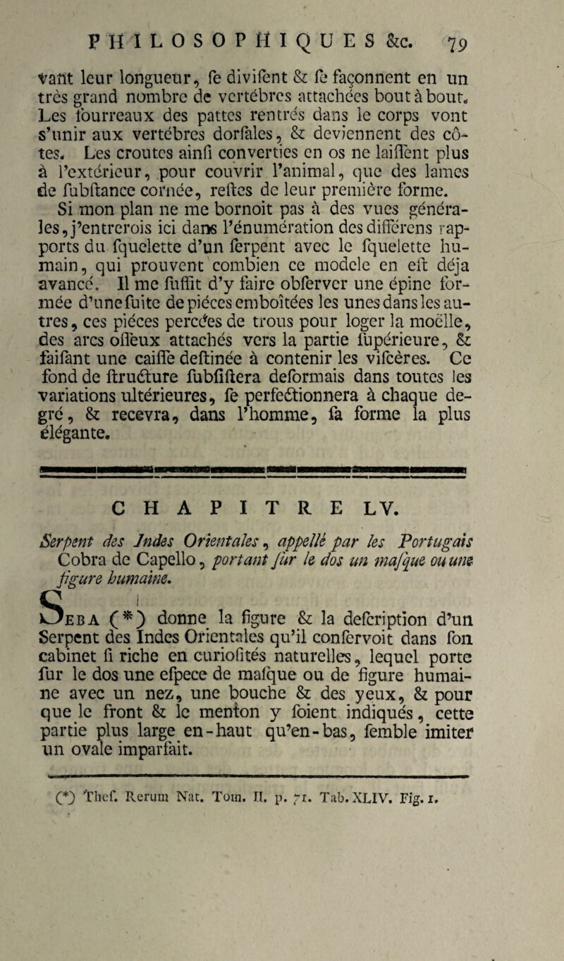 vaîït leur longueur, fe divifent & fe façonnent en un très grand nombre de vertèbres attachées boutàbour^ Les fourreaux des pattes rentrés dans le corps vont s’unir aux vertèbres dorfales, & deviennent des cô¬ tes. Les croûtes ainfi converties en os ne lailTent plus à l’extérieur, pour couvrir l’animal, que des lames de fubftance cornée, reftes de leur première forme. Si mon plan ne me bornoit pas à des vues généra¬ les, j’entrerois ici dans Pénumération des différons rap¬ ports du fquelette d’un ferpent avec le fquelette hu¬ main, qui prouvent combien ce modelé en ell: déjà avancé. Il me fuffit d’y faire obferver une épine for¬ mée d’une fuite de pièces emboîtées les unes dans les au¬ tres, ces pièces percées de trous pour loger la moelle, des arcs oflèux attachés vers la partie fupérieure, & faifant une cailfe deftinée à contenir les vifeères. Ce fond de ftruéture fubfiftera déformais dans toutes les variations ultérieures, fe perfeétionnera à chaque de¬ gré, & recevra, dans l’homme, fa forme la plus élégante. i C H A P I T R E LV. Serpent des Jndes Orientales^ appelle par les Portugais Cobra de Capello, portant fur le dos un mafque ou une fgure humaine, C i Oeba (^) donne la figure & la defeription d’un Serpent des Indes Orientales qu’il confervoit dans fon cabinet fi riche en curiofités naturelles, lequel porte fur le dos une efpece de mafque ou de figure humai¬ ne avec un nez, une bouche & des yeux, & pour que le front & le menton y foient indiqués, cette partie plus large en-haut qu’en-bas, femble imiter un ovale imparfait.