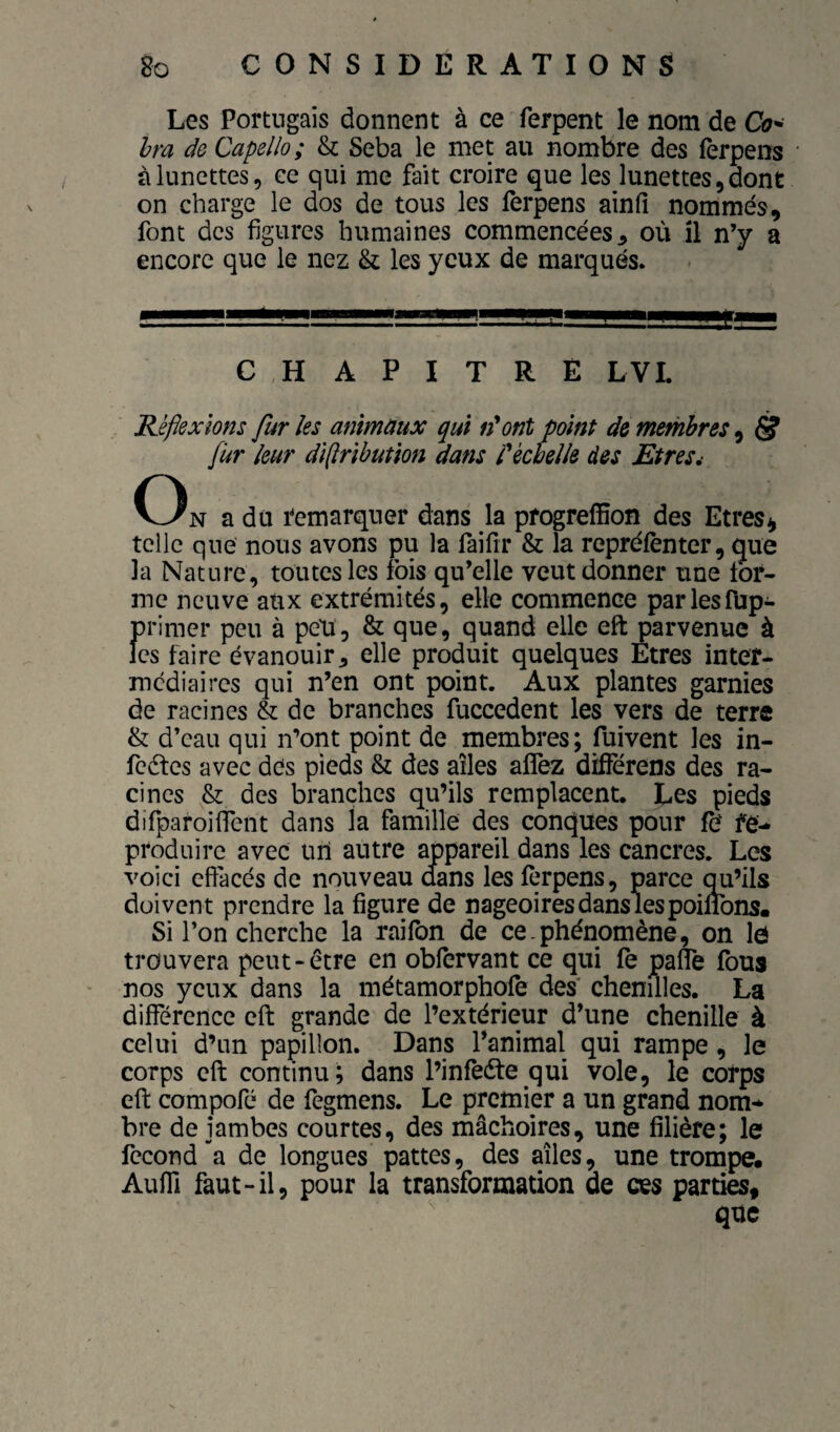 \ Les Portugais donnent à ce ferpent le nom de Co^ Ira do Capello; & Seba le met au nombre des fèrpens à lunettes, ce qui me fait croire que les lunettes, dont on charge le dos de tous les ferpens ainfi nommé font des figures humaines commencées ^ où il n’y encore que le nez & les yeux de marqués. CHAPITRÉ LVI. Réflexions fur les animaux qui fi*ont point de membres, ^ fur leur dflribution dans Céchelle des EtreSi O N a du remarquer dans la progrelïïon des Etres^ telle que nous avons pu la faifir & la repréfènter, que la Nature, toutes les fois qu’elle veut donner une for¬ me neuve aux extrémités, elle commence parlesfup- primer peu à peU, & que, quand elle eft parvenue à les faire évanouir, elle produit quelques Etres inter¬ mediaires qui n’en ont point. Aux plantes garnies de racines & de branches fuccedent les vers de terre & d’eau qui n’ont point de membres; fuivent les in- feétes avec des pieds & des ailes alTez dïfîerens des ra¬ cines des branches qu’ils remplacent. Les pieds difparoifiTent dans la famille des conques pour fô re¬ produire avec un autre appareil dans les cancres. Les voici cftacés de nouveau dans les fèrpens, parce qu’ils doivent prendre la figure de nageoiresdanslespoinons. Si l’on cherche la raifon de ce .phénomène, on le trouvera peut-être en oblervant ce qui fe pafle fous nos yeux dans la métamorphqfe des chenilles. La différence eft grande de l’extérieur d’une chenille à celui d’un papillon. Dans fanimal qui rampe, le corps eft continu; dans l’infeéte qui vole, le corps eft compofé de fegmens. Le premier a un grand nom¬ bre de jambes courtes, des mâchoires, une filière; le fécond a de longues pattes, des ailes, une trompe. Auffi faut-il, pour la transformation de ces parties, que e ca