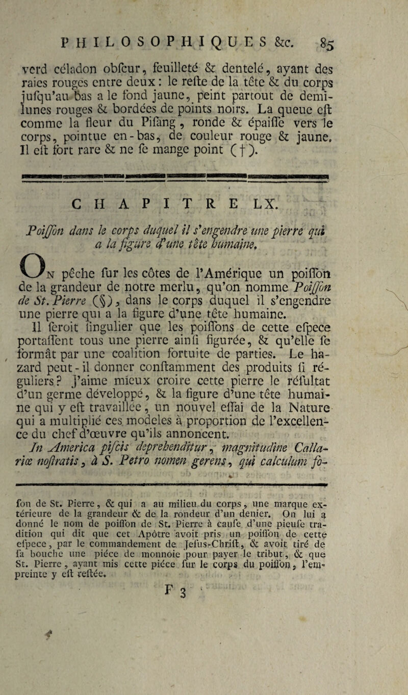 vcrd céladon obfcur, feuilleté & dentelé, ayant des raies rouges entre deux : le reffce de la tête & du corps jufqu’au bas a le fond jaune, peint partout de demi- lunes rouges & bordées de points noirs. La queue efl comme la fleur du Pillmg, ronde & épailfe vers le corps, pointue en-bas, de couleur rouge & jaune. Il cil fort rare & ne fe mange point (f ). CHAPITRE LX. On pêche fur les côtes de l’Amérique un poiflbn de la grandeur de notre merlu, qu’on nomme Poîjjon de St. Pierre dans le corps duquel il s’engendre une pierre qui a la figure d’une tête humaine. 11 feroit fingulier que les poiflTons de cette efpece portaflTent tous une pierre ainfi figurée, & qu’elle fc formât par une coalition fortuite de parties. Le ha- zard peut - il donner conftaniment des produits fi ré¬ guliers? j’aime mieux croire cette pierre le réfultat d’un germe développé, & la figure d’une tête humai¬ ne qui y efl: travaillée, un nouvel eflfai de la Nature qui a multiplié ces, modèles à proportion de l’excellen¬ ce du chef d’œuvre qu’ils annoncent. Jn America fîfcis deprehendtturmagnltudine Calla- riœ nojïratis y à S. Petro nomen gerens, q^ui calculum fo^ fon de St. Pierre, & qui a au milieu.dii corps, une marque ex¬ térieure de la grandeur ik. de la rondeur d’un denier. On lui a donné le nom de poiflbn de St. Pierre à caufe d’une pieufe tra¬ dition qui dit que cet Apôtre avoit pris un poiflbn de cette efpece, par le commandement de. JelusrChrift, & avoit tiré de fil bouche une pièce de monnoie pour payer le tribut, & que St. Pierre, ayant mis cette pièce fur le corps du poiÜbu, l’eni'- preinte y eft reitée. F 3