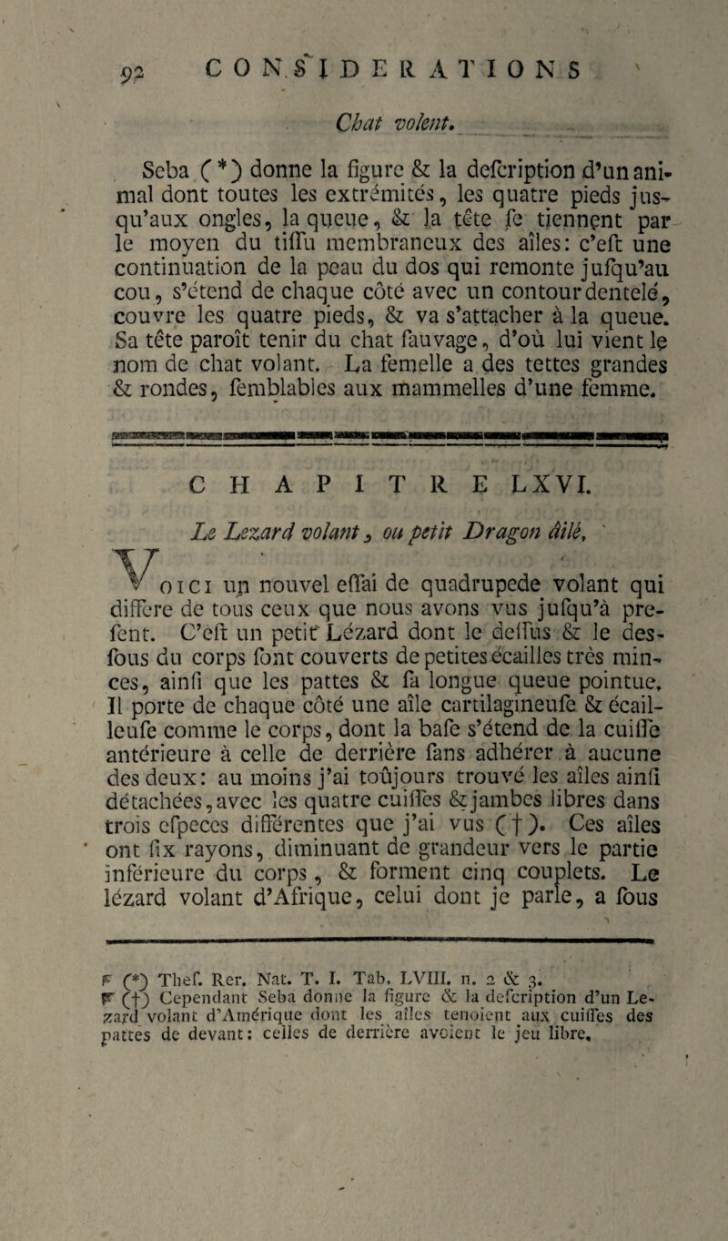 P P C 0 N . s I D E R A T I O N s Chat volent, Scba C donne la figure & la defcription d’un ani¬ mal dont toutes les extrémités, les quatre pieds jus¬ qu’aux ongles, laquelle, & î,a tête fe tiennent par le moyen du tifiTu membraneux des ailes: c’eft une continuation de la peau du dos qui remonte jufqu’au cou, s’étend de chaque côté avec un contour dentelé, couvre les quatre pieds, & va s’attacher à la queue. Sa tête paroît tenir du chat fauvage, d’où lui vient le nom de chat volant. La femelle a des tettes grandes & rondes, femblablcs aux mammelles d’une femme. CHAPITRE LXVI. Le Lézard volant ^ ou petit Dragon âîlé, V O ICI un nouvel eflai de quadrupède volant qui différé de tous ceux que nous avons vus jufqu’à pre- fent. C’eft un petit Lézard dont le delfus & le des¬ fous du corps font couverts de petites écailles très min¬ ces, ainfi que les pattes & fa longue queue pointue. Il porte de chaque côté une aile cartilagineufe & écail- leufe comme le corps, dont la bafe s’étend de la cuiflTe antérieure à celle de derrière fans adhérer à aucune des deux: au moins j’ai toujours trouvé les ailes ainfi dé tachées, avec les quatre cuilfes & jambes libres dans trois efpeccs différentes que j’ai vus C t )• ailes * ont fix rayons, diminuant de grandeur vers le partie inférieure du corps, & forment cinq couplets. Le lézard volant d’Afrique, celui dont je parle, a fous F Tlief. Rer. Nat. T. I. Tab. LVIII. n. 2 & 3. r (f) Cependant Seba donne la figure & la defcription d’un Le- zaxd volant d’Amérique dont les ailes tenoient aux cuilfes des pattes de devant; celles de derrière aveient le jeu libre.