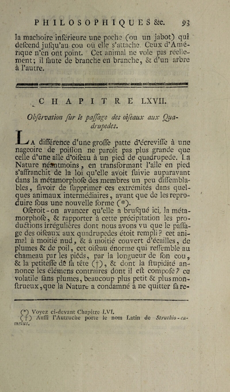 la mâchoire inférieure une poche (ou un jabot) qui defcend jufqu’au cou où elle s’attache. Ceux d’Amé- ïique n’en ont point. Cet animal ne vole pas réelle¬ ment; il faute de branche en branche, & d’un arbre à l’autre. CHAPITRE LXVIL Ohfsrvatwn fur le paffage des dîfeaux aux Qua¬ drupèdes. T JL^a différence d’une groffe patte d’écreviffe à une nageoire de poiflbn ne paroît pas plus grande que celle d’une aile d’oifeau à un pied de quadrupède. La Nature néfftitmoins, en transformant l’aile en pied s’affranchit de la loi qu’elle avoit fuivie auparavant dans la métamorphofe des membres un peu diffembla- blés, Lavoir de fupprimer ces extrémités dans quel¬ ques animaux intermédiaires, avant que de les repro¬ duire fous une nouvelle forme C^). Oferoit-on avancer qu’elle a brufqué ici, la méta- morphofe, & rapporter à cette précipitation les pro- duétions irrégulières dont nous avons vu que le paffa- ge des oifeaux aux quadrupèdes étoit rempli ? cet ani¬ mal à moitié nud^ & à moitié couvert d’écailles, de plumes & de poil, cet oifèau énorme qui reffemble au chameau parles piéds, par la longueur de fon cou, & la petiteffe dS fa tête (j), & dont la fliupidité an¬ nonce les élémens contraires dont il eft compofé.? ce volatile fans plumes, beaucoup plus petit & plusmon- ftrueux,que la Nature a condamné à ne quitter fare- é*) Voyez ci-devant Chapitre LVI. rf) Aiilîi riVutruche porte ie nom Latin de Struthio-ca-' mêlas.