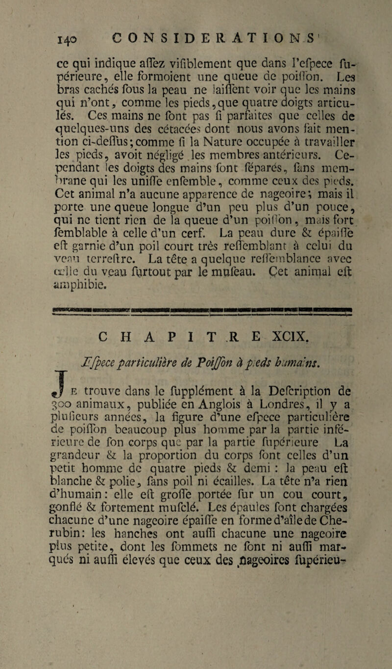 ce qui indique aflez vifiblement que dans l’crpece fu- périeure, elle formoient une queue de poiflbn. Les bras cachés fous la peau ne laiflént voir que les mains qui n’ont, comme les pieds,que quatre doigts articu¬ lés. Ces mains ne font pas fi parfaites que celles de quelques-uns des cétacées dont nous avons fait men¬ tion cLdeiïlis ; comme fi la Nature occupée à travailler les pieds, avoit négligé les membres antérieurs. Ce¬ pendant les doigts des mains font féparés, fans mem¬ brane qui les uniffe cnfemble, comme ceux des pieds. Cet animal n’a aucune apparence de nageoire; mais il porte une queue longue d’un peu plus d’un pouce, qui ne tient rien de la queue d’un poilTon, mais fort femblable à celle d’un cerf. La peau dure & épaiffe efi: garnie d’un poil court très reflemblant à celui du venu terreftre. La tête a quelque refieinblance avec œlie du veau furtout par le mufeau. Çet animal eft amphibie. CHAPITRE XCIX. E trouve dans le fupplément à la Defeription de 300 animaux, publiée en Anglois à Londres, il y a plufieurs années, la figure d’une efpcce particulière de poiffon beaucoup plus homme par la partie infé¬ rieure de fon corps que par la partie fupérieure La grandeur & la proportion du corps font celles d’un petit homme de quatre pieds & demi : la peau eft blanche & polie, fans poil ni écailles. La tête n’a rien d’humain: elle efi; grofle portée fur un cou court, gonflé & fortement mufclé. Les épaules font chargées chacune d’une nageoire épaiffe en forme d’aîlede Ché¬ rubin: les hanches ont auffi chacune une nageoire plus petite, dont les fommets ne font ni aufli mar¬ qués ni auffi élevés que ceux des ^ûageoires fupérieu-