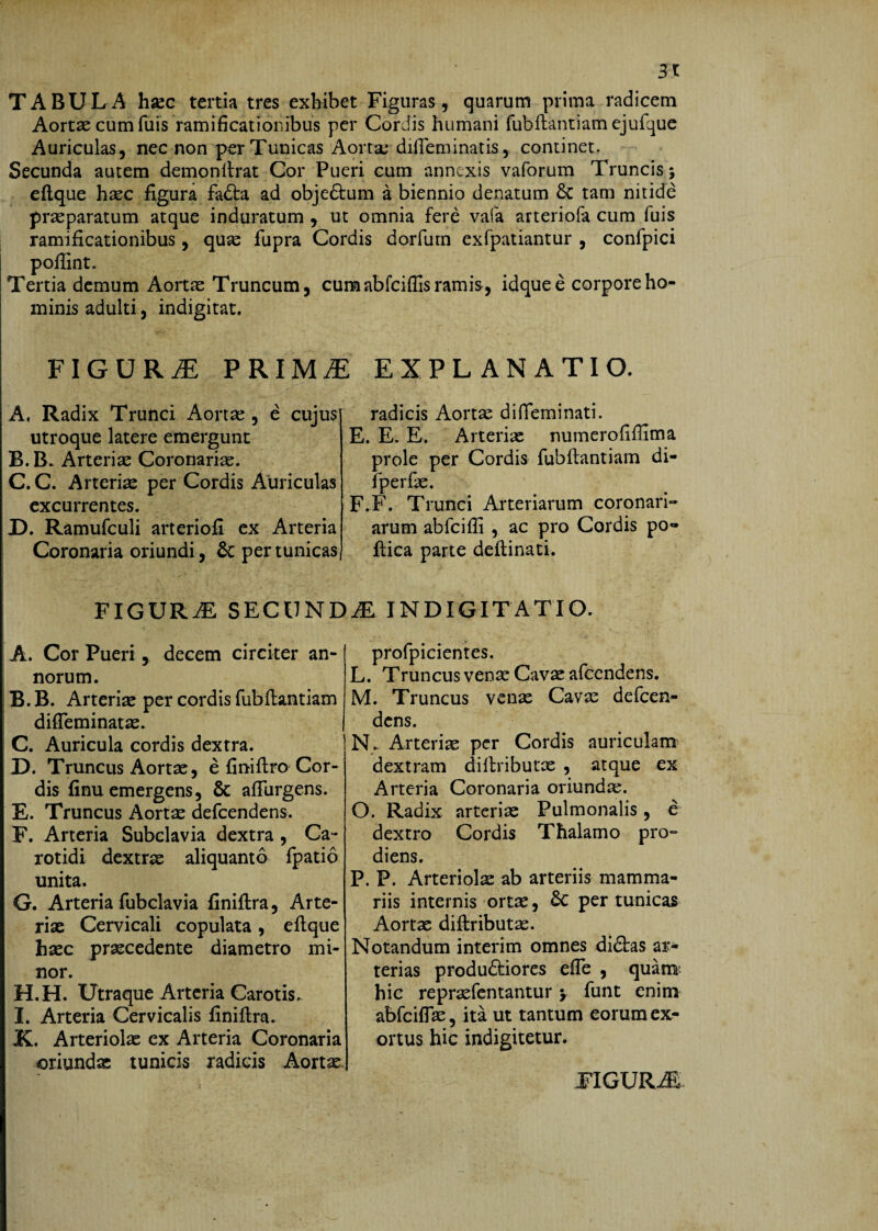 31 TABULA h«c tertia tres exhibet Figuras, quarum prima radicem Aortse cum fuis ramificationibus per Cordis humani fubftantiam ejufque Auriculas, nec non per Tunicas Aorta: difieminatis, continet. Secunda autem demonlhat Cor Pueri cum annexis vaforum Truncis j eftque hxc figura fafta ad objeftum a biennio denarum & tam nitide praeparatum atque induratum y ut omnia fere vala arteriofa cum fuis ramificationibus, qu^ fupra Cordis dorfurn exfpatiantur , confpici poflint» Tertia demum Aortas Truncum, cum ab fciflis ramis, idquee corpore ho¬ minis adulti, indigitat. FIGURiE PRIMiE EXPLANATIO. A. Radix Trunci Aortas, e cujus utroque latere emergunt B. B. Arteriae Coronariae. C. C. Arterias per Cordis Auriculas excurrentes. D. Ramufculi arteriofi ex Arteria Coronaria oriundi, & per tunicas radicis Aortse difieminati. E. E. E. Arterias numerofiffima prole per Cordis fubftantiam di- fperfie. F. F. Trunci Arteriarum coronari¬ arum abfcifli , ac pro Cordis po- flica parte deftinati. FIGURiE SECUNDiE INDIGITATIO. A. Cor Pueri y decem circiter an¬ norum. B. B. Arterise per cordis fubftantiam difieminat^e. C. Auricula cordis dextra. U. Truncus Aortse, e finifiro Cor¬ dis finu emergens, & afiurgens. E. Truncus Aort^ defeendens. F. Arteria Subclavia dextra , Ca¬ rotidi dextrae aliquanto fpatio unita. G. Arteria fubclavia finiftra. Arte¬ riae Cervicali copulata , eftque haec procedente diametro mi¬ nor. H. H. Utraque Arteria Carotis. I. Arteria Cervicalis finiftra. K. Arteriolas ex Arteria Coronaria oriundo tunicis radicis Aortae. profpicientes. L. Truncus veno Cavas afeendens. M. Truncus venas Cavas defeen- dens. N. Arterio per Cordis auriculam dextram diftributae , atque ex Arteria Coronaria oriundas. O. Radix arterias Pulmonalis, e dextro Cordis Thalamo pro¬ diens. P. P. Arteriolae ab arteriis mamma¬ riis internis ortas, & per tunicas Aortae diftributo. Notandum interim omnes didtas ar¬ terias produftiores efle , quam- hic reprasfentantur y funt enim abfeiflas, ita ut tantum eorum ex^ ortus hic indigitetur. FIGUR.^