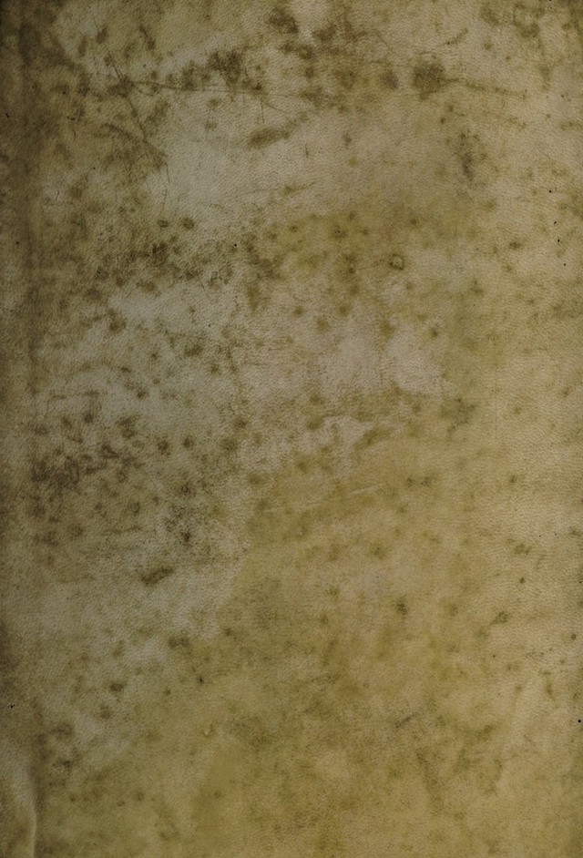 digitised image 1