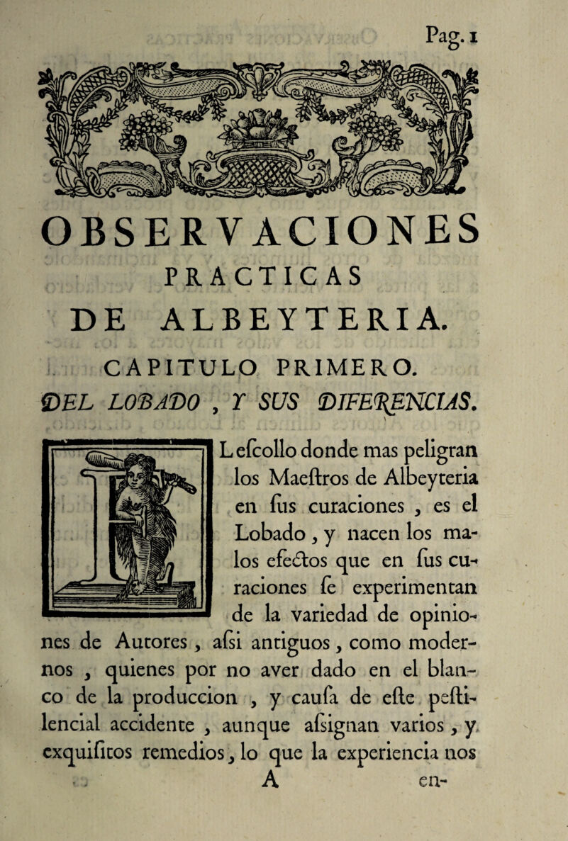 Pag.i OBSERVACIONES PRACTICAS DE ALBEYTERIA. CAPITULO PRIMERO. DEL LOBADO , Y SUS DIFERENCIAS. \ L eícollo donde mas peligran los Maeftros de Albeyteria en fus curaciones , es el Lobado , y nacen los ma¬ los efedros que en fus cu¬ raciones le experimentan de la variedad de opinio¬ nes de Aurores, aGi antiguos, como moder¬ nos , quienes por no aver dado en el blan¬ co de la producción , y caula de elle pefti- lencial accidente , aunque aísignan varios , y cxquificos remedios} lo que la experiencia nos •. A en-