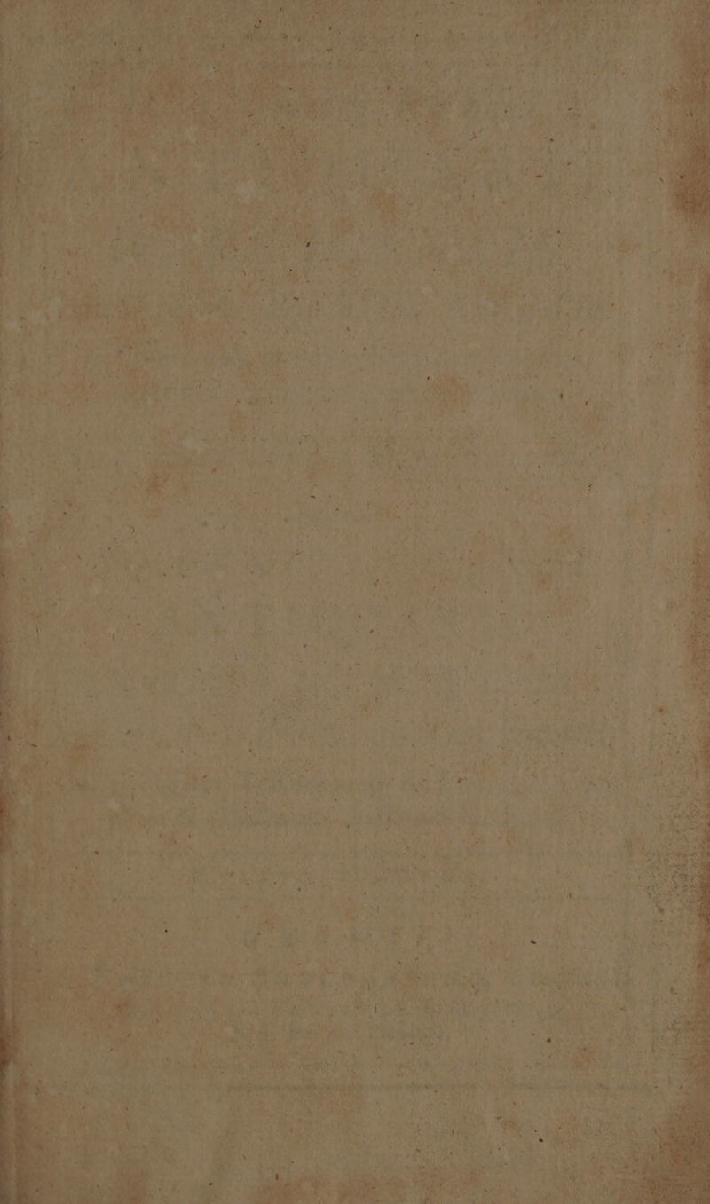 SS ENS] IPLOIP UE : 4 4 inv Nr