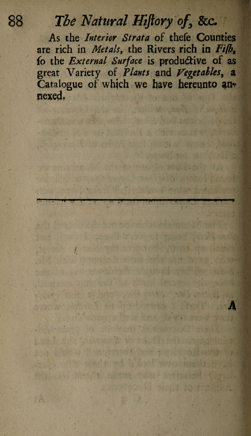 As the Interior Strata of thefe Counties ,|S are rich in Metals, the Rivers rich in Filh, fo the External Surface is produ(9:ive of as fi; great Variety of Plants and Fegetailes, a Catalogue of whjch we have hereunto ;tny ' nexed. — ' ' ■ ■ >■' . f , • • i • c • - • ■ ■ . - r ■ ' ■» iji.. m\‘ ^ / * . y 'f-i' t f • i