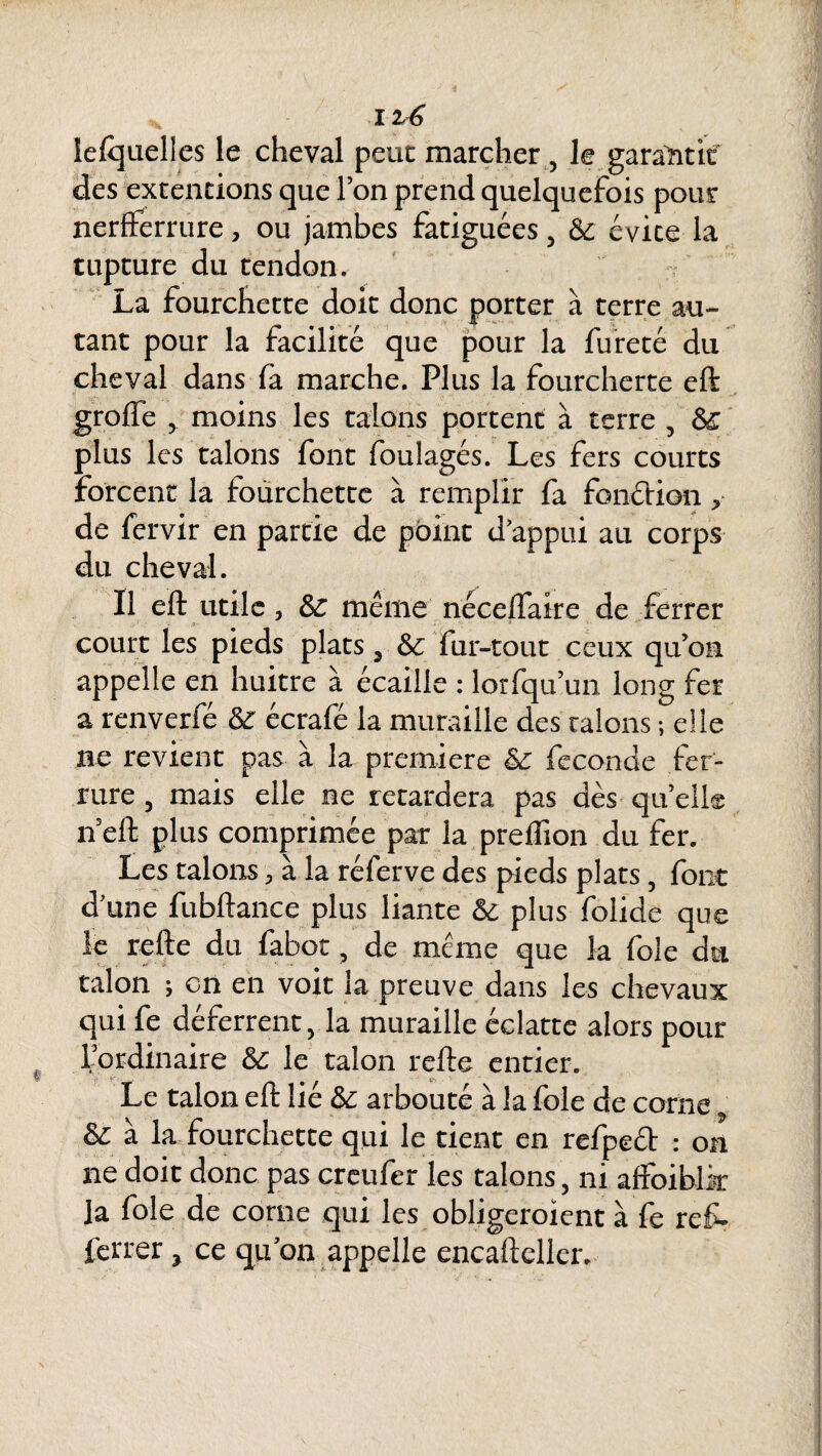 lelquelles le cheval peut marcher , le garantit des extentions que Ton prend quelquefois pour nerfterrure, ou jambes fatiguées , 6c évite la tupture du tendon. La fourchette doit donc porter à terre au¬ tant pour la facilité que pour la fureté du cheval dans fa marche. Plus la fourcherte eft grofle moins les talons portent à terre , 6c plus les talons font foulagés. Les fers courts forcent la fourchette à remplir fa fondion ,■ de fervir en partie de point d'appui au corps du cheval. Il eft utile, 6c même néceftaire de ferrer court les pieds plats 3 6c fur-tout ceux qu'on appelle en huitre à écaille : lorfqu’un long fer a renverfé 6c écrafé la muraille des talons ; elle ne revient pas à la première 6c fécondé fer¬ rure 5 mais elle ne retardera pas dès qu’elle neft plus comprimée par la preflion du fer. Les talons, à la réferve des pieds plats, font d'une fubftance plus liante 6c plus folide que le refte du fabot, de même que la foie du talon ; on en voit la preuve dans les chevaux qui fe déferrent, la muraille éclatte alors pour l'ordinaire 6c le talon refte entier. Le talon eft lié 6c arbouté à la foie de corne ÿ 6c à la fourchette qui le tient en refped : on ne doit donc pas creufer les talons 5 ni affoiblk ]a foie de corne qui les obligeroient à fe ref- ferrer > ce qu'on appelle encafteller.