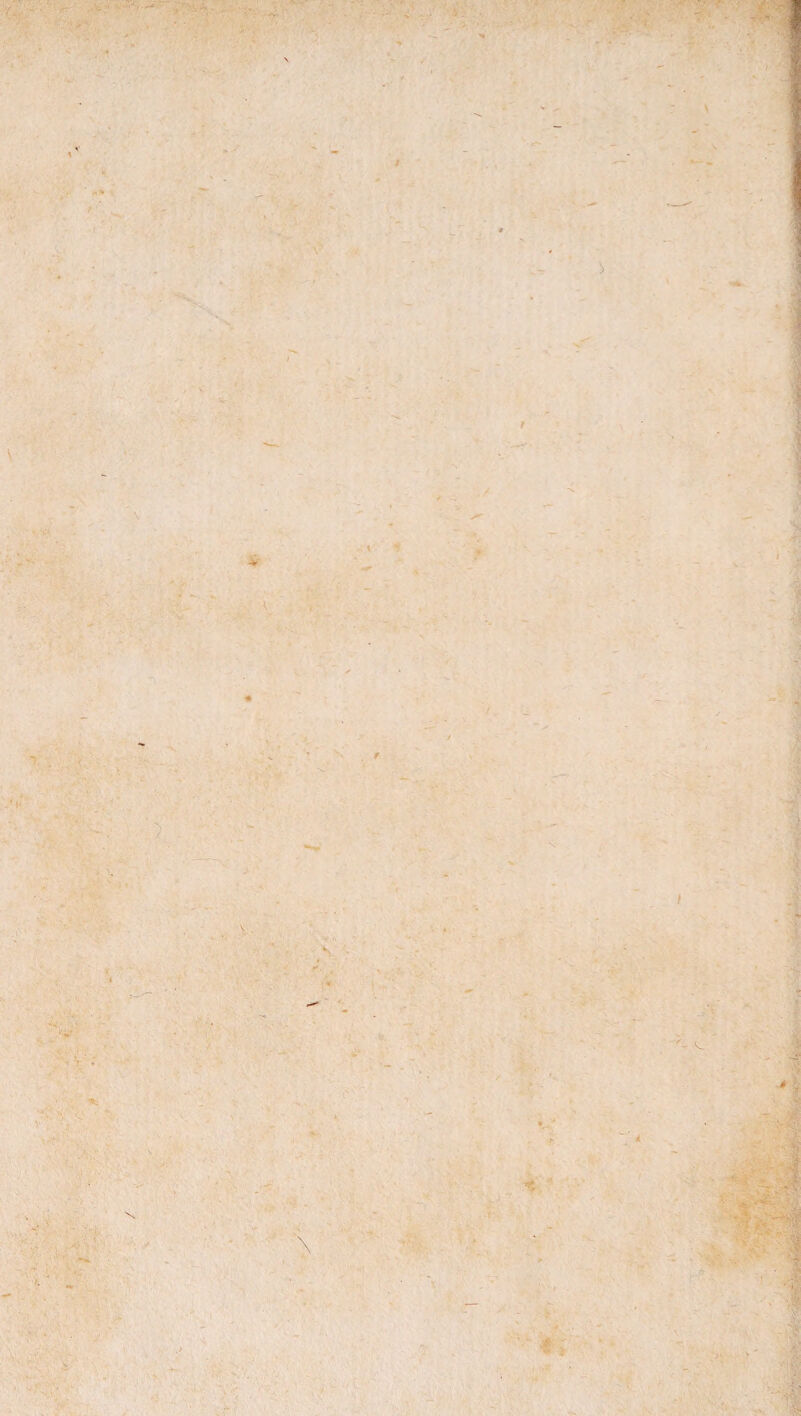 '■Ar ■ ■y- ' \ v t 9 \ ! % .' )■' v; .