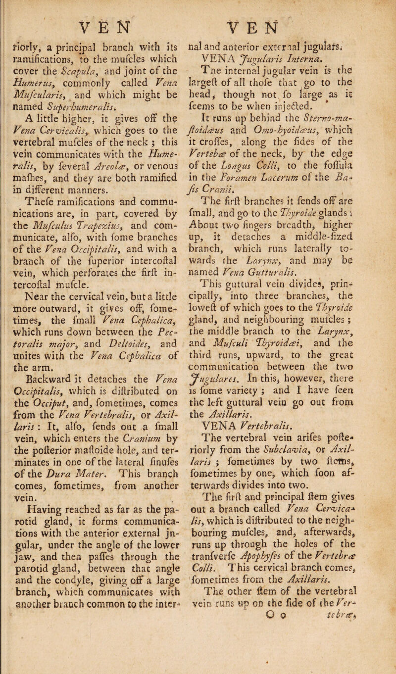 friorly, a principal branch with its ramifications, to the mufcles which cover the Scapula, and joint of the Humerus, commonly called Vena Mufcularisy and which might be named Superbumeralisi A little higher, it gives off the Vena Cervicalts, which goes to the vertebral mufcles of the neck ; this Vein communicates with the Hume- ralis, by feveral Areoles, or venous malhes, and they are both ramified in different manners. Thefe ramifications and commu¬ nications are, in part, covered by the Mufculus Trapezius, and com¬ municate, alfo, with fome branches of the Vena Occipitalis, and with a branch of the Superior intercoftal vein, which perforates the firff in¬ tercoftal mufcle. Near the cervical vein, but a little more outward, it gives off, fome¬ times, the fmall Vena Cephalica, which runs down between the Pec- tor alis major, and De It aides, and unites with the Vena Cephalica of the arm. Backward it detaches the Vena Occipitalis, which is diftributed on the Occiput, and, fometimes, comes from the Vena Vertebralis, or Axil¬ laris : It, alfo, fends out a fmall vein, which enters the Cranium by the pofterior maftoide hole, and ter¬ minates in one of the lateral finufes of the Dura Mater. This branch comes,, fometimes, from another vein. Having reached as far as the pa¬ rotid gland, it forms communica¬ tions with the anterior external jn- gular, under the angle of the lower jaw, and then paffes through the parotid gland, between that angle and the condyle, giving off a large branch, which communicates with another branch common to the inter- nal and anterior external jugulars,* VENA Turn laris Interna. . . . %/ o m Tne internal jugular vein is the largeft of all thofe that go to the head, though not fo large as it feems to be when injected. It runs up behind the Sterno-ma- floidaeus and Omo-hyoidarus, which it erodes, along the fides of the Vertebra of the neck, by the edge of the Longus Colli, to the foffula in the Foramen Lacerum of the Ba¬ fts Cranii. , The firft branches it fends off are fmall, and go to the Thyroide glands ■ About two fingers breadth, higher up, it detaches a middle-fized branch, which runs laterally to¬ wards the Larynx, and may be named Vena Gutturalis. This guttural vein divides, prin¬ cipally, into three branches, the ioweft of which goes to the Thyroide gland* and neighbouring mufcles; the middle branch to the Larynx, and Mufculi Thyraided, and the third runs, upward, to the great communication between the two Jugulares. In this, however, there is fome variety ; and I have feen the left guttural vein go out from the Axillaris, VENA Vertebralis. The vertebral vein arifes pofte* riorly from the Subclaaoia, or Axil¬ laris ; fometimes by two ftems, fometimes by one, which foon af¬ terwards divides into two. The firft and principal ftem gives out a branch called Vena Cernjica* lis, which is diftributed to the neigh¬ bouring mufcles, and, afterwards, runs up through the holes of the tranfverfe Apophyfes of the Vertebra Colli. This cervical branch comes, fometimes from the Axillaris. The other ftem of the vertebral vein runs up on the fide of the Ver* O 9 te bre?*,