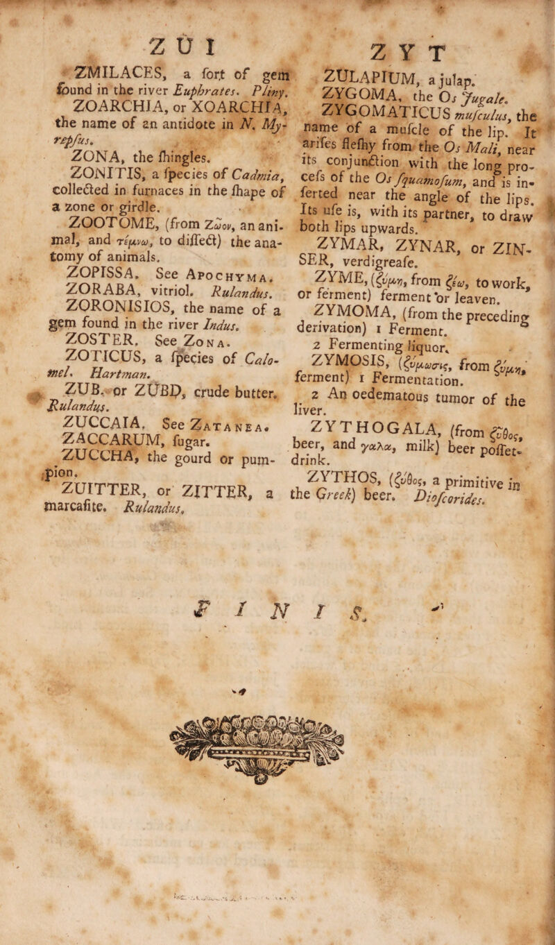 ZMILACES, a for,t of gem found in the river Euphrates. Pliny. ZOARCHJA, or XOARCHlA, the name of an antidote in N, My- repfus. ZONA, the fhingles. ZONITIS, a fpecies of Cadmia, collected in furnaces in the fhape of a zone or girdle. ZOOTOME, (from zuov, an ani¬ mal, and TEfAvaj, to di/Tedl) the ana¬ tomy of animals. ZOPISSA. See Apochyma, ZORABA, vitriol* Pulandus. ZORONISIOS, the name of a gem found in the river Indus. ZOSTER, See Zona. ZOTICUS, a fpecies of Calo¬ mel. Hartman. ZUB. or ZUB£), crude butter, Rulandus. ZUCCAIA. SeeZATANEA# Z ACC ARUM, fugar. ZUCCHA, the gourd or pum- pion. ZUITTER, or ZITTER, a marcafite. Ruicaidus, z Y T ZULAPIUM, ajulap. ZYGOMA, the 0/ Jup ale. ZYGOMATICUS mu)cuius, the name of a mufcle of the lip. It anfes hefhy from the Os Maliy near it&gt; conjundlion with the long pro- cela of the Os fquamofum, and is in» ferted near the angle of the lips. Its ufe is, with its partner, to draw both lips upwards. ZYMAR, ZYNAR, or ZIN- SER, verdigreafe. ZYME, (Qjimi, from to work, or ferment) ferment or leaven. ZYMOMA, (from the preceding derivation) i Ferment. 2 Fermenting liquor* ZYMOSIS, from ferment) i Fermentation. 2 An oedematous tumor of the liver. Z ^ ^ PI O G ALA, (from oeer, and milk) beer poifet* drink. Z\ THOS, (&amp;Qo;, a primitive in the Greek) beer. Diofcorides.