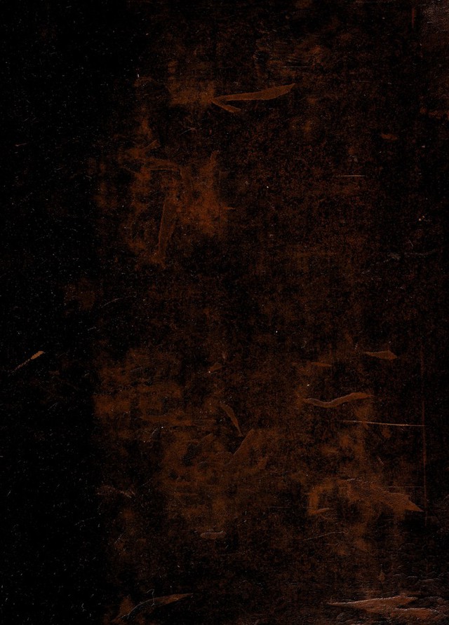 digitised image 1