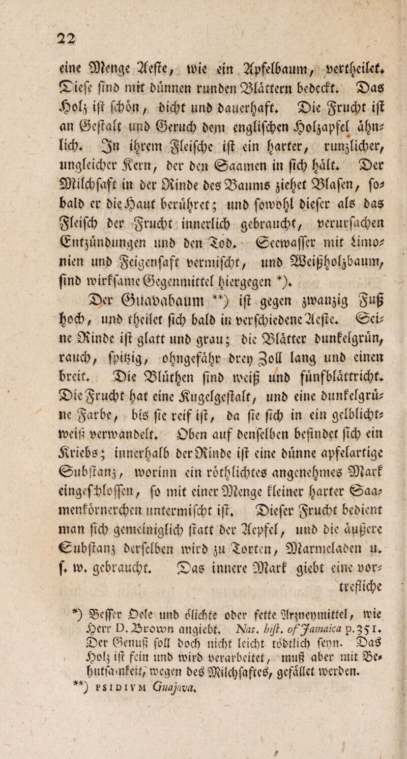 eine 2Dteuge Sfeffe, mie ein Apfelbaum, pctt^cikt* Stefe flnb mit btlnnen runbenSldttern bebecft* Sae> ift fcbott, btebf unb bauerhaft* Sie grud?t ijt an ©e|falt unb ©erud) bem englifcben Jpoljapfef äfytv UA% jn ihrem gleifcbc ift ein patter, rundlicher, nngteicber 5lern, Per bcn @aamen in ftct> halt* Sec SSMcbfaft tn bec Svinbe bc6 Saume jiefKt Sfafcn, fo* halb ec Die berühret; unb fotvöf}! biefec ale bas gfetfcb bec grucbt innerlich gebraucht/ nerurfacben ©nfjünbungen unb ben ^ob* ©eemaffee mit iimo* nien unb geigenfaft ttermifobf, unb SBei^o^baum; ftnb mirffameföegenmittel hiergegen *)♦ Sec ©üababaum **) i|t gegen jttxmjlg guj* db, unb teilet (leb halb in nerfd)iebenc2lcj!e* @ci^ ne CKinbe iji gtatt unb grau; bte Sldtter bunfefgrun, raueb, fpißig., o^ngefa^c bcep 3°^ un& e*nctl breit Sie Sluthen finb tvei£ unb fünfbfdttricbt Sie grucbt hat eine ÄugcfgcjWt, unb eine bunfclgrü* ne garbe, bie fic reif iji, ba fJe ftd) in ein gdbltcbt* mein ^ermanbeft Üben auf benfefben bejtnbef flcb ein .färiebe; innerhalb berövinbe i|? eine bunne apfelartige ©ubflanj, morinn ein roC^ftdbtc0 angenehmes SEßarf eingefbiofjen, fo mit einer Sfttenge deiner harter @aa* menforncrcbcn tmtermifebt ift* Siefec gruebt bebient man jtcb gemeiniglich fratt bec Stepfel, unb bie dupere ©ubflaitd berfetben mirb ju Porten, Söiarmelaben u* ft w. gebraucht. Sa$ innere 9Hart* giebt eine oor* ; ' ; ’ - trejücbe *) ^eflTer Ode unb otidite ober fette dr^nepmittd, me iperr D. 23vown migiebt Nat, hiß. of Jamaica p.351. Scr ©enufi foü bod) nicht leicht tdbtlid) fepn. S)ob ift fein unb toirb verarbeitet, muß aber mit £5e* butfamleit,' wegen be$ ®ild)fafte£, gefallet werben. **) rsiDiVM Guajava.