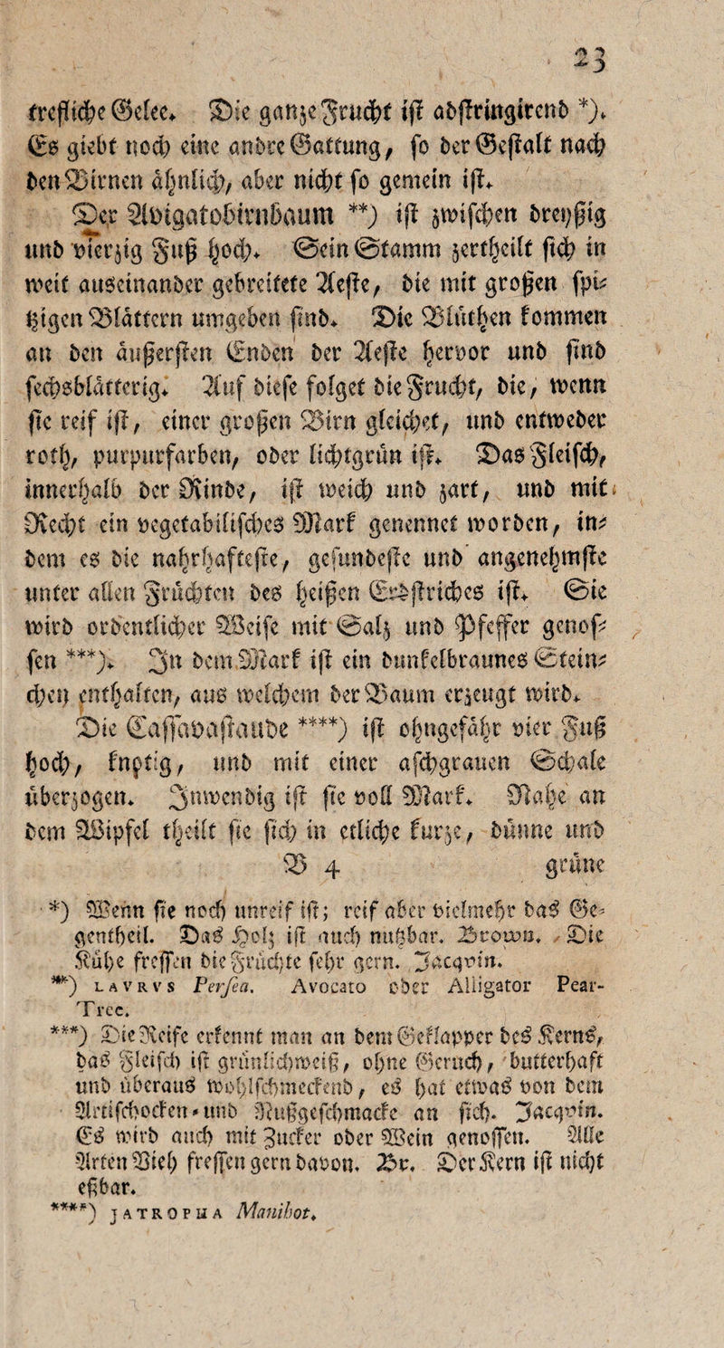 frcf!tof?e ©elee* $£>ie gan$e$rudbt tjl abffringirenb *)f (£0 giebt nod) eine atibrc©attung/ fo ber©ejialt na$ bcn523trncn a^ultcp, aber nicht fo gemein i|t* ©er Slmaatölnnibaum **j tjl äwifeben breiig unb oiet^ig §u$ J^od;* ©ein ©tamm ^crt^cilt ftd? in weit ausetnanber gebreitete ^tejie, bie mit großen fpb ^tgen flattern umgeben frnb* 2)ic 2Müt£en fommen an ben duferjien ©nben ber 3fejle ^enoor unb fmb fe$$Mdttcrig* 2Cuf biefe folget bie §rud)t; bie, wenn fte reif ifl, einer grofen 25irn gleichet; unb entweber rotb; purpurfarben; ober lidhtgrun tff+ 35a0Sleifdh; innerhalb ber Övinbe, ift meid? unb $art, unb mit; 0ved?t ein ocgetabififd)c0 ÜJtarf genennet worben; m bem e0 bie nahrfjaftejte'/ gefunbeflc unb angenel)mjle unter allen §ruchfcn be0 fyaßen &£ftvidte# ift+ ©ie wirb ordentlicher SBeife mit ©alj unb Pfeffer genop fen ***> 3n bcm SJtarf ifl ein bunfelbraunes Steine d;en enthalten; am welchem ber95aum erzeugt wirb* Sie ©affcibajtatlbe ****) ift ohngefdhr oier %ß$ hod>; fnptig; unb mit einer afcbgraucn ©d;ale überzogen* 3lin)cnbig ift fte ood SRarf* Stahe an bem Sötpfel ttyilt fte jtch in etliche fur,$e, bunne unb 95 4 grüne ■ *) $Benn fte ned) unreif ift; reif aber tnelmebt haß #e* gcntbcil. 5po($ ift and) nuftbar. 2$vown, «Die 5tul)e freffen bie§rud)te febr gern, jacgtnn. **) lavrvs Perfia. Avocato ober Alligator Pear- Trec. ***) 2:ie3ieife erfennt man an bemSeflapper heß .fern^- ba$ gleifd) ift grtinlid)weig, ol)ne ©erad); butterbaft unb überaus troblfcbmecfenb, tß l)at ettra^ non bem Slmfcbocfen * ttnb 9hifgefd)macfe an ftd). jacqvin. & wirb and) mit Jucfer ober 5Sein genoffen. Sitte Slrtcn freffen gern baron. X>t. ©erlern if nicht efbar. ****) jatropha Manihot♦