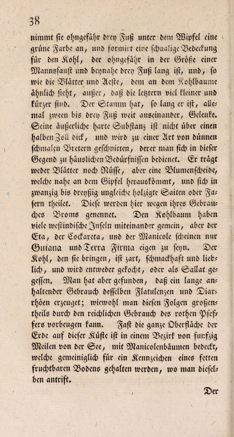 nimmt ge ogugefdgr brep $ug unter bem SBipfef eine \ grüne §arbe an, unb formirt eine fegaafige 23ebeifung für ben Äobl, Per phngefaf^r in ber ©roge einer SKannßfaug unb bepnage brep §ug fang ig, unb, fo wie bic glatter unb 2lcge, Dem an bem 5t ob (bau me ägnficg gebt, auger, bag bie [entern Ptef Heiner unb fürder gnb* Ser ©tamm bat, fo fang er ig, alle; maf §meen biß brep $ug n>cit außeinanber, ©efenfe* ©eine augerlicge garte @ubgan$ ig niegt über einen gafben^oü bief, unb rnirb §u einer 2(rf pon bünnen fegmafen Kretern gefdmitten, berer man geg in biefer ©egenb §u gaußlidbcnSSebürfnigen bebienet* (Er fragt toeber SSfdtter noch ölüfle, aber eine SMumenfcgetbe, wefdx nage an bem ©tpfef gerauefommt, unb geb in jman^ig btö brepgig ungfe&cge gefügte ©aifett ober §a; fern tgetfet* Siefe werben gier wegen ibree ©ebram d)eß 23romß genennet* Sen Äogfbaum gaben Ptefe mcgtnbifcbe3nfefn mifeinanber gemein, aber ber (Eta, ber €ocfareta, unb ber äftanicofe fdbetnen nur ©uiana unbSerra ginnet eigen $u fepn* Ser .ftogf, ben ge bringen, ig jart, fegmaefgaft unb lieb* lieg, unb wirb entweber gefod)t, ober als ©aüat ge* gegen* 931an gaf aber gefunben, bag ein fange am gaftenber ©ebraueg begefben gfatufenjen unb ©iar* rgoen erzeuget; wiewogf man biefen folgen grogem tgeifß bureg ben reiegftegen ©ebraueg beß rotgen g3fcf* ferß porbeugen bann* gag &ie ganje Dbergacge ber (Erbe auf biefer jfüge ig in einem SSejirf pon funfgg Steifen pon ber @ee, mit SWantcofenbaumen bebeeft, wefege gemeinigfid) für ein $enn$eicgen eines fetten fruegtbaren Kobens gegaften werben, wo man biefeb ben antriff* Ser i