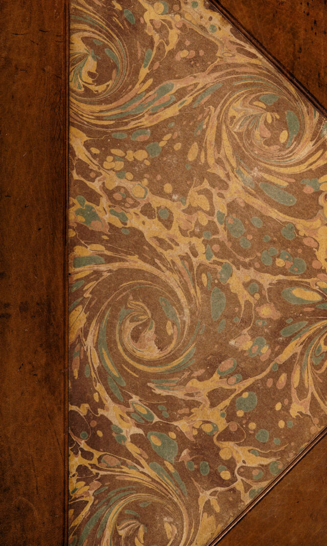 No text description is available for this image