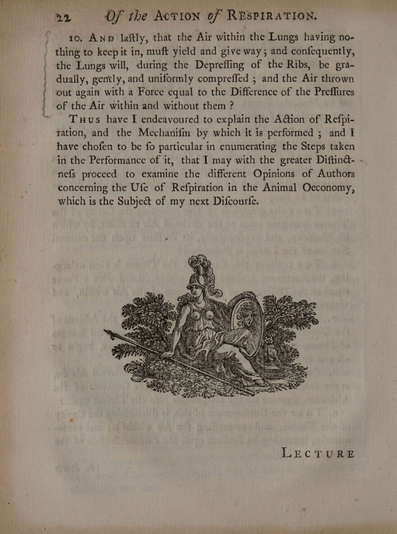 a Facet ? 10. AND laftly, that the Air within the Lungs having no- thing to keep it in, muft yield and give way; and confequently, the Lungs will, during the Depreffing of the Ribs, be gra- dually, gently, and uniformly compreffed ; and the Air thrown out again with a Force equal to the Difference of the Preflures of the Air within and without them ? Tus have I endeavoured to explain the Action of Refpi- ration, and the Mechanifm by which it 1s performed ; and 1 have chofen to be fo particular in enumerating the Steps taken in the Performance of it, that I may with the greater Diftin- - nefs proceed to examine the different Opinions of Authors concerning the Ufe of Refpiration in the Animal Oceconomy, which is the Subje&amp; of my next Difcourfe. 3 f o if Vee\ ALN AW ENS Se RES hs =