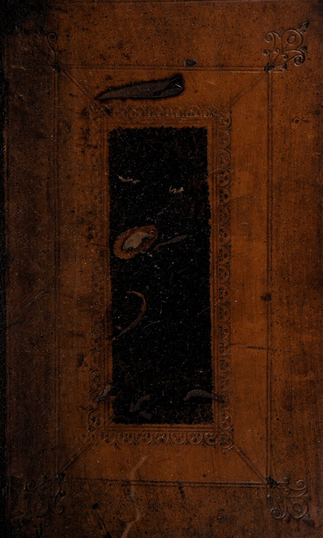 No text description is available for this image