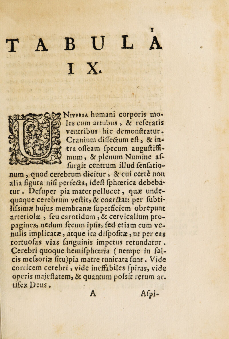 o tabula I x. Niversa humani corporis mo¬ les cum artubus , & referatis ventribus hic demonftratur- Cranium diflfe&um eft» & in¬ tra ofTeam fpecum auguftiffi- mtmij & plenum Numine af¬ fingit centrum illud fenfatio- num , quod cerebrum dicitur» & cui certe non alia figura nifi perfera, idefl fphoerica debeba* cur. Defuper pia mater pellucet, quae unde- quaque cerebrum veftic» & coar&at: per fubti- lifsrmae hujus membrana fuperficiem obrepunc arteriola > feu carotidum »& cervicalium pro¬ pagines» nedum fecum ipfis» fed etiam cum ve¬ nulis implicatae, atque ita difpofira:»ut per eas tortuofas vias fanguinis impetus retundatur. Cerebri quoque hemifphoeria ( nempe in fal¬ cis mefsoriae ficu)pia matre tunicata funt. Vide corticem cerebri» vide ineffabiles fpiras, vide operis majeftatem,& quantum poisit rerum ar. tifex Deus» A Afpi-