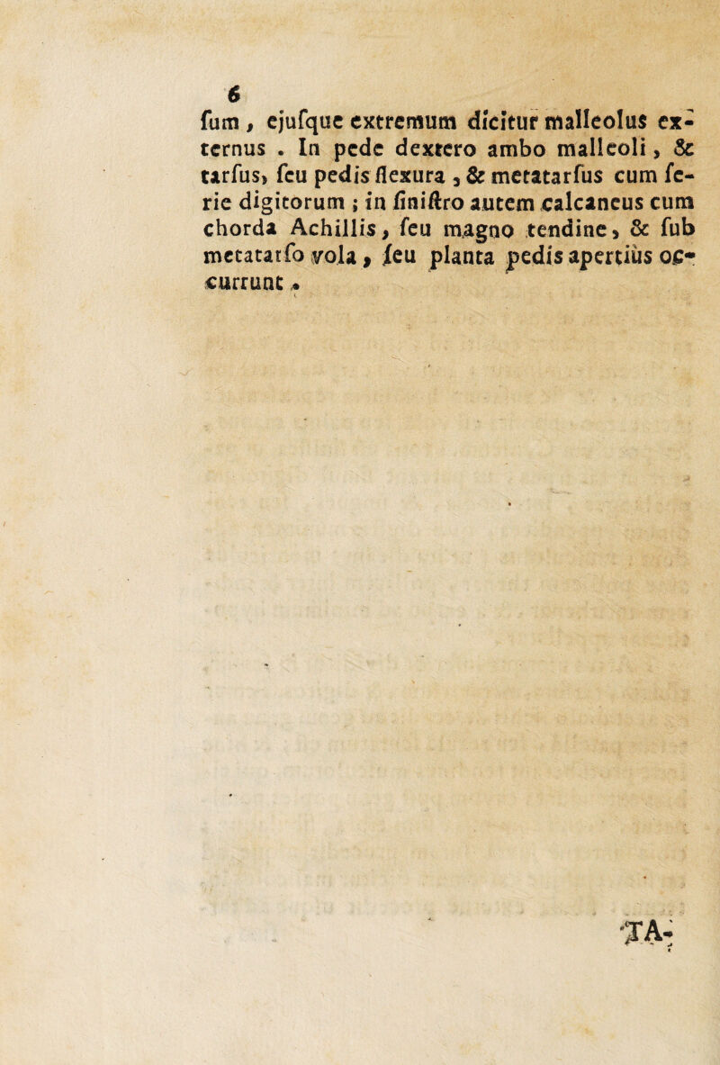 fum, ejufque extremum dicitur malleolus ex¬ ternus . In pede dextero ambo malleoli, & tarfus, fcu pedis flexura s & metatarfus cum fe- rie digitorum ; in fini&ro autem calcaneus cum chorda Achillis, feu magno tendine > & fub metatarfo yola, feu planta pedis apertius oc¬ currunt *