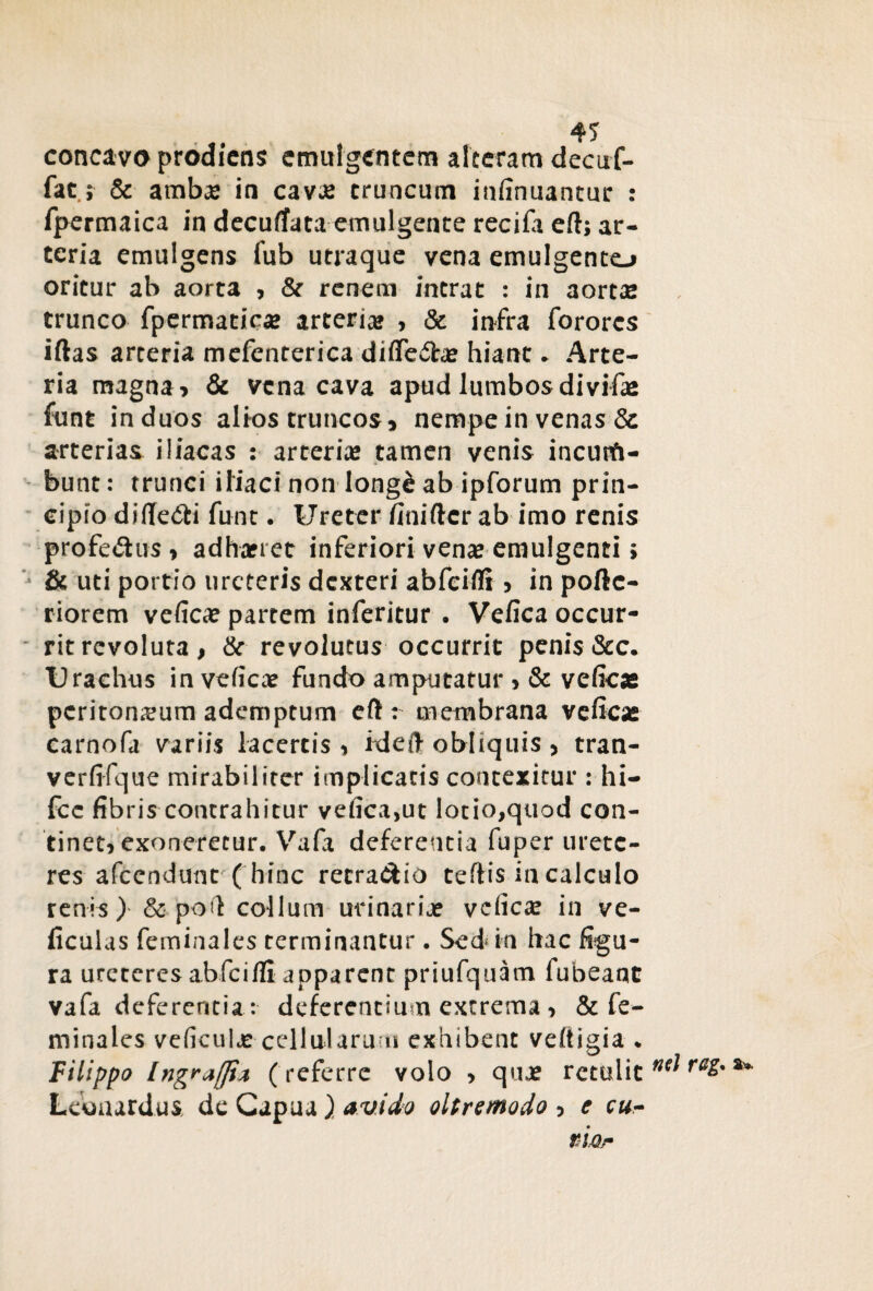 concavoprodiens emulgentem alteram decuf- fac; & ambas in cavas truncum infinuantur : fpermaica in decuflata emulgente recila eft; ar¬ teria emulgens fub utraque vena emulgento oritur ab aorta , & renem intrat : in aortas trunco fpermatic# arterias , & infra forores iftas arteria mefenterica diffeota? hiant . Arte¬ ria magna > & vena cava apud lumbos divifas funt in duos alios truncos, nempe in venas & arterias iliacas : arterias tamen venis incurfi- bunt: trunci iliaci non Iong& ab ipforum prin¬ cipio diffe&i funt. Ureter finifter ab imo renis profe&us, adhasret inferiori venas emulgenti; & uti portio ureteris dexteri abfeifli , in pofte- riorem veficas partem inferitur . Vefica occur¬ rit revoluta, & revolutus occurrit penis &c. Urachus in veficas fundo amputatur , & veficas peritonaeum ademptum eft : membrana veficas carnofa variis lacertis > ideft obliquis > tran- verfifque mirabiliter implicatis contexitur : hi— fcc fibris contrahitur vefica,ut lotio,quod con¬ tinet, exoneretur. Vafa deferentia fuper urete¬ res afccndunt ( hinc retrario teftis in calculo renis) & po0. collum urinarias veficas in ve- ficulas feminales terminantur. Sed in hac figu¬ ra ureteres abfcifli apparent priufquam fubeant vafa deferentia: deferentium extrema , & fe¬ minales veficulas cellularum exhibent veftigia „ Filippo Ingrajjh ( referre volo , quas retulit ra%' ** Leoaardus de Capua ) avido oltremodo •> e cu- tiar