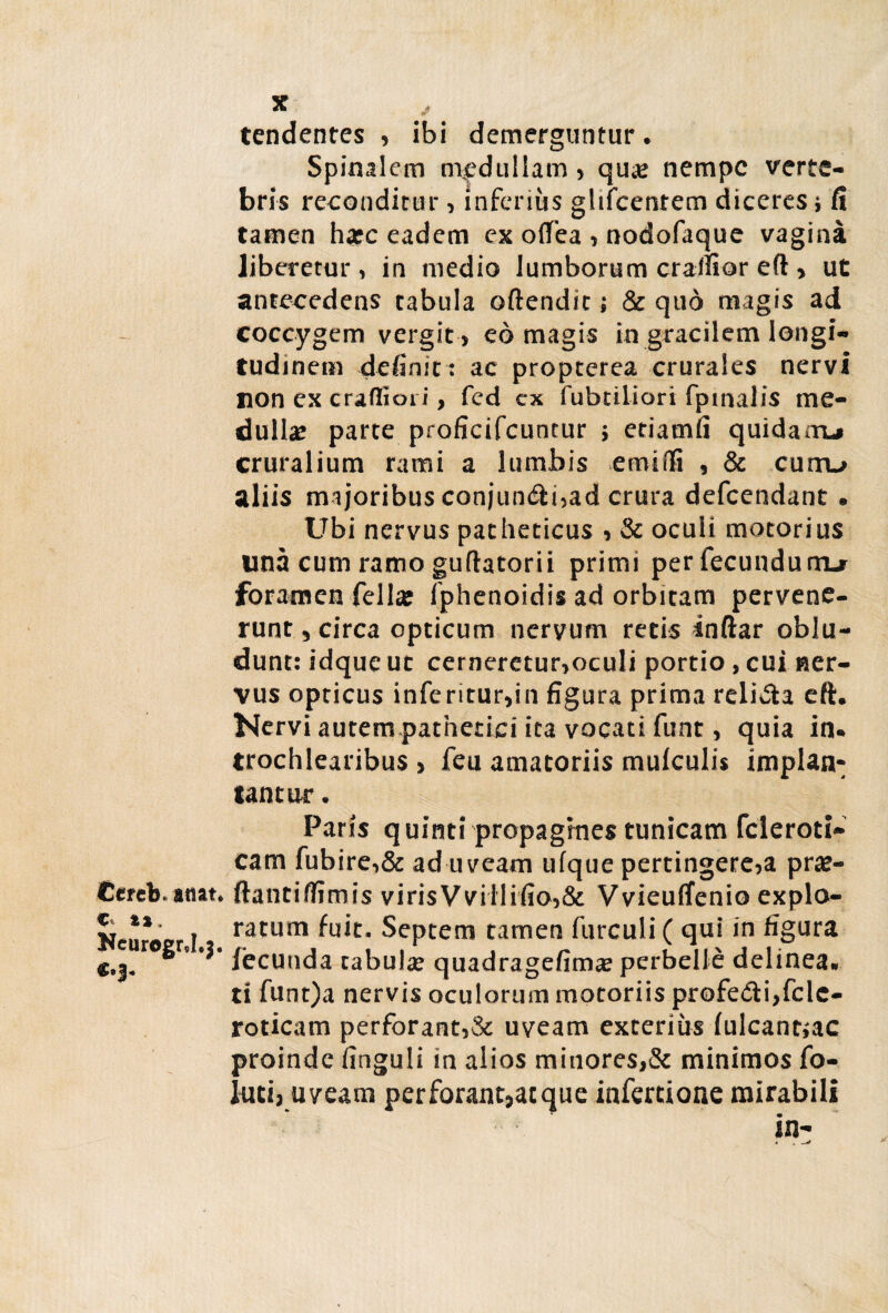 Ccrcb. a«at» <<• **, KcurogrJ.j. tendentes , ibi demerguntur. Spinalem medullam , qua: nempe verte¬ bris reconditur, inferius glifcentem diceres i fi tamen haec eadem ex ofTea , nodofaque vagina liberetur, in medio lumborum craffior eft> ut antecedens tabula oftendit; & quo magis ad coccygem vergit , eo magis in gracilem longi¬ tudinem definit: ac propterea crurales nervi non ex craffion', fed cx fubtiliori fpinalis me¬ dulla: parte proficifcuntur ; etiamfi quida.ru cruralium rami a lumbis emiili , & curru aliis majoribus conjumfti,ad crura defeendant. Ubi nervus patheticus , & oculi motorius una cum ramo guflatorii primi perfecundumu foramen fellas fphenoidis ad orbitam pervene¬ runt , circa opticum nervum retis inftar oblu¬ dunt: idque ut cerneretur,oculi portio, cui ner¬ vus opticus inferitur,in figura prima reli&a eft. Nervi autem pathetici ita vocati funt, quia in. trochlearibus , feu amatoriis mulculis implaa- tantur. Paris quinti propagines tunicam fcleroti- cam fubire,& ad uveam ufque pertingere,a pras- ftantiffimis virisVvillifio,& Vvieuffenio explo¬ ratum fuit. Septem tamen furculi ( qui in figura fecunda tabula: quadragefima: perbelle delinea, tl funt)a nervis oculorum motoriis profe<5ti,fcle- roticam perforant,& uveam exterius lulcan^ac proinde finguli in alios minores,& minimos fo- luti, uveam perforant,atque infertione mirabili m