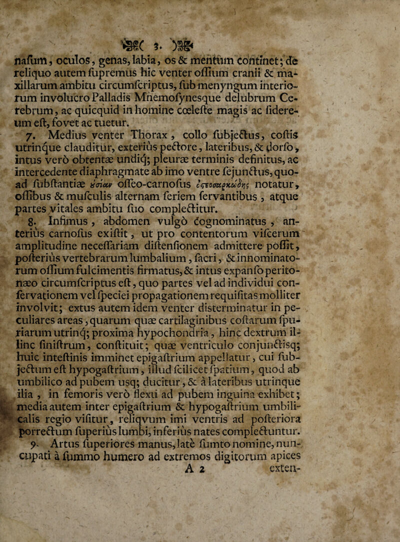 •jtJTSv 0+ JoJiJt nafum, oculos, genas,labia, os & mentum continet; de reliquo autem fupremus hic venter offium cranii & ma¬ xillarum ambitu circumfcriptus, fub menyngum interio¬ rum involucro Palladis Mnemofynesque delubrum Ce¬ rebrum, ac quicquid in homine coelefte magis ac fidere- um eft, fovet ac tuetur. 7. Medius venter Thorax, collo fubjeftus, coftis utrinque clauditur, exterius peftore, lateribus, & dorfo, intus vero obtentae undiq; pleurae terminis definitus, ac intercedente diaphragmate ab imo ventre fejun&us, quo¬ ad fubftantiae »<7tiu> offeo-carnofus notatur 9 offibus & mufculis alternam feriem fervantibus , atque partes vitales ambitu fuo comple&itur. 8. Infimus , abdomen vulgb dognominatus , an¬ terius carnofiis exiftit, ut pro contentorum vifcerum ~ amplitudine neceffariam diftenfionem admittere pofilt, pofterius vertebrarum lumbalium , facri , & innominato¬ rum ollium fulcimentis firmatus, & intus expanfoperito- naeo circumfcriptus eft, quo partes vel ad individui con- fervationem vel fpeciei propagationem requifitas molliter involvit; extus autem idem venter disterminatur in pe¬ culiares areas , quarum quae cartilaginibus coftarumfpu- riarumutrinq; proxima hypochondria, hinc dextrum il¬ linc finiftrum, conftituit; quae ventriculo conjunftisq; huic inteftinis imminet epigaftrium appellatur , cui fub- jcftum eft hypogaftrium, illud fcilicetfpatium, quod ab umbilico ad pubem usq; ducitur , & a lateribus utrinque ilia , in femoris vero flexii ad pubem inguina exhibet; media autem inter epigaftrium & hypogaftrium umbili¬ calis regio vifitur, reliqvum imi ventris ad pofteriora porreftum fuperius lumbi, inferius nates compleftuntur. Artus fuperiores manus,late fumto nomine, nun¬ cupati a fummo humero ad extremos digitorum apices A 2 exten-