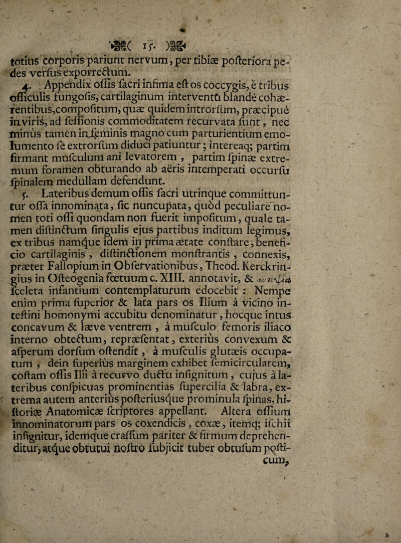 , '*mc if- m totkis corporis pariunt nervum, per tibiae pofteriora pe¬ des verius exporreftum. 4. Appendix offis iacri infima eft os coccygis, e tribus officulis fungofis, cartilaginum intervento blande cohte¬ rentibus,compofitum, quae quidem introrftim, praecipue in viris, ad feffionis commoditatem recurvata funt, nec minus tamen inipminis magno cum parturientium emo¬ lumento le extrorfum diduci patiuntur; intereaq; partim firmant mufculuntani levatorem , partim ipinae extre¬ mum foramen obturando ab aeris intemperati occuriu ipinalem medullam defendunt. f. Lateribus demum offis facri utrinque committun¬ tur offa innominata, ftc nuncupata, qudd peculiare no¬ men toti offi quondam non fuerit impolitum, quale ta¬ men diftiriftum fingulis ejus partibus inditum legimus, ex tribus namque idem in prima aetate conflare ^ benefi¬ cio cartilaginis , diftinftionem monflrantis , Connexis, praeter Fallopium irt Obfervationibus, Theod. Kerckrin- gius in Ofteogenia foetuum c. XIII. annotavit, & 'tvn\fstc6 fceleta infantium contemplaturum edocebit : Nempe enim prima fuperidr & lata pars os Ilium a vicino in- teftini homonymi accubitu denominatur, hocque intus concavum & laeve ventrem , a mufculo femoris iliaco interno obteftum, repraefentat, exterius convexum 8c afperum dor/iim oftendit, a mu/culis glutaeis occupa¬ tum j dein fuperius marginem exhibet femicircularem, coftam offis Ilii & recurvo duftu infignitum, cujus a la¬ teribus confpicuas prominentias fupercilia & labra, ex¬ trema autem anterius pofteriusque prominula /pinas, hi- ftoriae Anatomicae feriptores appellant. Altera offium innominatorum pars os coxendicis, coxae, itemq; ifchii infignitur, idemque craffum pariter & firmum deprehen¬ ditur, atque obtutui noftro fubjicit tuber obtufum po/H- cum*