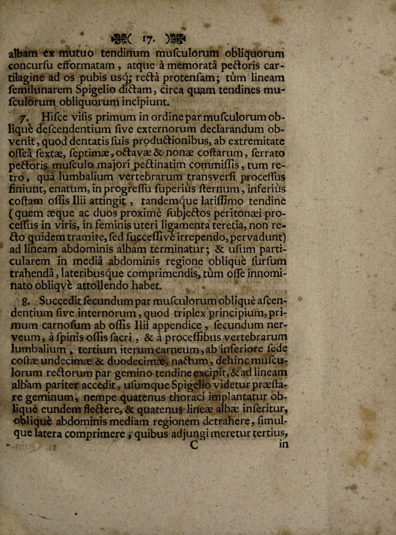 m 17. )ss> w. _„ . albam ex mutuo tendinum mufculorum obliquorum concurlii efformatam , atque a memorata peftoris car¬ tilagine ad os pubis usq; refla protenfam; tum lineam femilunarem Spigelio diflam, circa quiam tendines mu¬ fculorum obliquorum incipiunt- 7. Hifce vilis primum in ordine par mufculorum ob¬ lique defcendentium live externorum declarandum ob¬ venit , quod dentatis fuis produflionibus, ab extremitate ofTea fextae, feptimae,oftavae&: nonae collarum, ferrato pefloris mulculo majori peflinatim commiffis, tum re¬ tro , qua lumbalium vertebrarum transverfi procelTus finiunt, enatum, in progrefiu fuperius llernum, inferius collam offis Ilii attingit, tandemque latiffimo tendine ( quem aeque ac duos proxime liibjeflos peritonaei pro- celTus in viris, in feminis uteri libamenta teretia, non re¬ flo quidem tramite, led fucceffive irrependo, pervadunt) ad lineam abdominis albam terminatur ; & ufiim parti¬ cularem in media abdominis regione oblique lurfum trahenda, lateribus que comprimendis, tum olfe innomi¬ nato obliqve attollendo habet- v % \ 8. Succedit fecundum par mufculorum oblique afcen- dentium live internorum, quod triplex principium, pri¬ mum carnofum ab offis Ilii appendice , fecundum ner- veum, a fpinis offis facri, & a proceffibus vertebrarum lumbalium , tertium iterum carneum, ab inferiore fede collae undecimae & duodecimae, naflum , dehinc mufcu¬ lorum reflo rumpar gemino tendine excipit, & ad lineam albam pariter accedit , ufumque Spigelio videtur praella- re geminum, nempe quatenus thoraci implantatur ob¬ lique eundem fleflere, & quatenus lineae albae inferitur, oblique abdominis mediam regionem detrahere, fimul- que latera comprimere, quibus adjungi meretur tertius, C in /