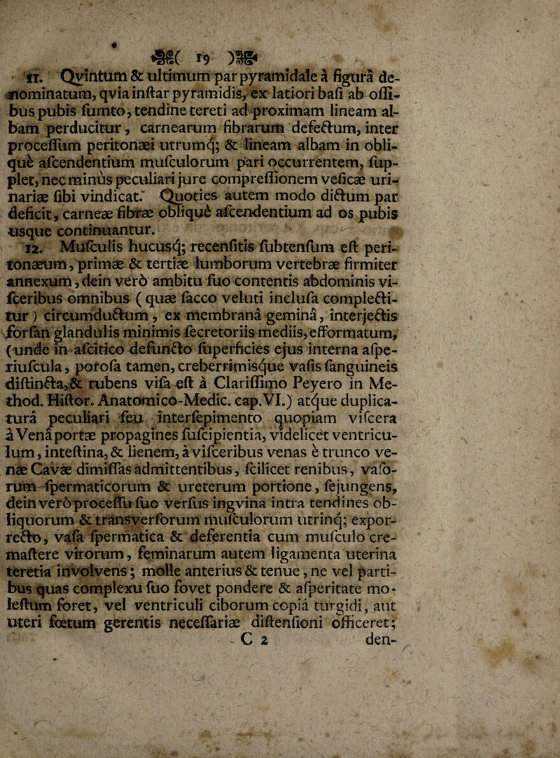 4KC ^ n. Qvintum & ultimum par pyramidale a figura de¬ nominatum, qvia inftar pyramidis, ex latiori bafi ab ofli- bus pubis fumto, tendine tereti ad proximam lineam al¬ bam perducitur, carnearum fibrarum defeftum, inter proceffum peritonaei utrumq; & lineam albam in obli¬ qui afcendentium mufculorum pari occurrentem, fup- plet, nec minus peculiari jure compreffionem veficae uri¬ nariae fibi vindicat.' Quoties autem modo diftum par deficit, carneae fibrae obliqui afcendentium ad os pubis usque continuantur. ^7 12. MufcuHs hucuscj; recenfitis fubtenfixm eft peri¬ tonaeum, primae & tertiae lumborum vertebrae firmiter annexum, dein verd ambitu fuo contentis abdominis vi- fceribus omnibus ( quae facco veluti inclufa complefti- tur) circumdu&um, ex membrana gemina, interjeftis forfan glandulis minimis fecretoriis mediis, eftbrmatum, (unde in afcitico defunflo fiiperficies ejus interna afpe- riufcula, porofa tamen, creberrimisque vafis fanguineis diftin&a,& rubens vifa eft a Clariffimo Peyero in Me- thod. Hiftor. Anatomico-Medie. cap.VI.) atque duplica¬ tura peculiari feu interfepimento epopiam vifcera a Vena portae propagines flxfcipientia, videlicet ventricu¬ lum , inteftina, & lienem, a vifceribus venas e trunco ve¬ nae Cavae dimiffas admittentibus, fcilicet renibus , vafb- rum fpermaticorum & ureterum portione, fejungens, dein vero proceffb fuo verfiis ingvina intra tendines ob¬ liquorum & transverforum mufculorum utrinq; expor- refto, vafa fpermatica & deferentia cum mufculocre- maftere virorum, feminarum autem ligamenta uterina teretia involvens; molle anterius & tenue, ne vel parti¬ bus quas complexu fuo fovet pondere & afperitate mo- leftum foret, vel ventriculi ciborum copia turgidi, aut uteri foetum gerentis neceflariae diftenfioni officeret; - C 2 ' den-