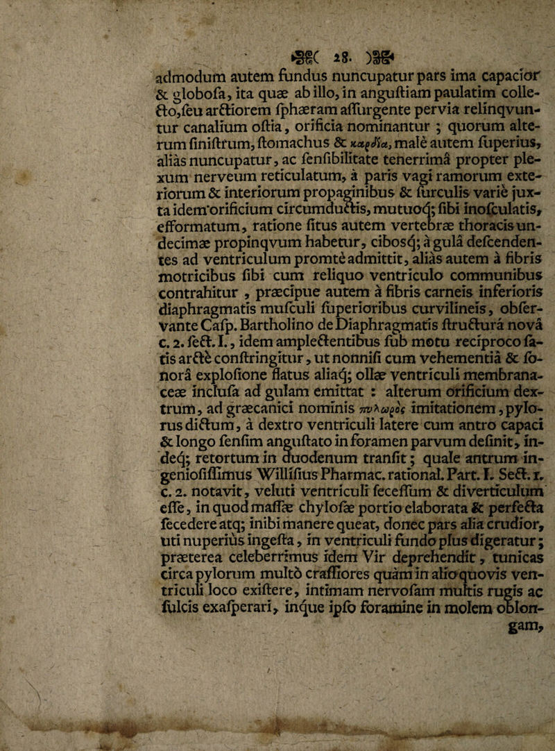 •S8C 18- )a& admodum autem fundus nuncupatur pars ima capacior &. globofa, ita quae ab illo, in anguftiam paulatim colle- fto,feu arftiorem Iphaeram adurgente pervia relinqvun- tur canalium oftia, orificia nominantur ; quorum alte¬ rum finiftrum, ftomachus & male autem fuperius, alias nuncupatur, ac fenfibilitate tenerrima propter ple¬ xum nerveum reticulatum, a paris vagi ramorum exte¬ riorum & interiorum propaginibus Sc furculis varie jux¬ ta idem'orificium circumduttis, mutuotj; fibi inofculatis, efformatum, ratione (itus autem vertebrae thoracisun- decimae propinqvum habetur, cibosq; a gula defcenden- tes ad ventriculum promteadmittit, alias autem a fibris motricibus fibi cum reliquo ventriculo communibus contrahitur , praecipue autem a fibris carneis inferioris diaphragmatis mufculi fuperioribus curvilineis, obfer- VanteCafp. Bartholino de Diaphragmatis flruftura nova c. 2. feft. I., idem ampleftentibus fub motu reciproco fa¬ tis arfre conftringitur, utnonnifi cum vehementia & fb- norS explofione flatus aliaq; ollae ventriculi membrana¬ ceae inclufa ad gulam emittat : alteram orificium dex¬ trum, ad graecanici nominis ■mhu^os imitationem, pylo¬ rus diftum, a dextro ventriculi latere cum antro capaci & longo fenfim anguftato in foramen parvum definit, in¬ de^; retortum in duodenum tranfit; quale antrum in- geniofiffimus Willifius Pharmac. rational. Part. I. Se£f. r. c. 2. notavit, veluti ventriculi feceflum & diverticulum efle, inquodmaflae chylofae portio elaborata & perfefta fecedereatq; inibi manere queat, donec pars alia crudior, uti nuperius ingefta, in ventriculi fundo plus digeratur; praeterea celeberrimus idem Vir deprehendit, tunicas circa pylorum multo craffiores quam in alioquovis ven¬ triculi loco exi ft e re, intimam nervofam multis rugis ac fulcis exafperari, inque ipfo foramine in molem oblon- : gam.