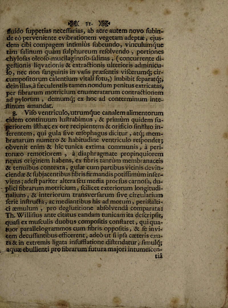 •ffC ri. )S& ffuido fuppetias neceflarias, ab aere autem novo fubin- de eo perveniente evibrationem vegetam adeptae, ejus¬ dem cibi compagem intimius fubeundo, vinculum que tam falinum quam fulphureum refolvendo , portiones chylofas oleofo-mucilaginofo-falinas, ( concurrente di- geftionis liqvationis & extra&ionis ulterioris adminicu¬ lo, nec non fanguinis in vafis praefentis vilcerumq; cir- eumpofitorum calentium vitali fotu,) imbibit feparatq;, dein illas,a faeculentiis tamen nondum penitus extricatas, per fibrarum motricium enumeratarum contraftionem ad pylorum , demumq; ex hoc ad conterminum inte- jftinum amandat. 8. Vifo ventriculo, utrum^ue canalem alimentorum eidem continuum luftrabimus , & primum quidem fu- periorem ifthaec ex ore recipientem & orificio finiftro in¬ ferentem, qui gula five cefophagus dicitur , atq; mem¬ branarum numero & habitudine ventriculo refpondet; obvenit enim & hic tunica extima communis, a peri¬ tonaeo remotiorem , a diaphragmate propinquiorem nexus originem habens, ex fibris tantum membranaceis & tenuibus contexta, gulae cum partibus vicinis devin¬ ciendae & fubjacentibus fibris ftrmandispotiffimum infer- viens;adeft pariter altera leu media prorfus carnofa, du¬ plici fibrarum motricium, fcilicet exteriorum longitudi¬ nalium, & interiorum transverfarum five circularium ferie inftru&a, ac mediantibus his admotum, perifialti- ci aemulum , pro deglutitione abfolvenda comparata: Th. Willifius ante citatus eandam tunicam ita defcripfit, quafi exmufculis duobus compofitis conflaret, qui qua- V tuor parallelogrammos cum fibris oppofitis, & fe invi¬ cem decuflantibus efficerent, adeout fiipfa caeteris exu¬ ta & in extremis ligata infufflatione diftendatur, fimulcj; aquae ebullienti pro fibrarum futura majori intumeicen- —'-- '' V ■ ' ' . > v , V tia r