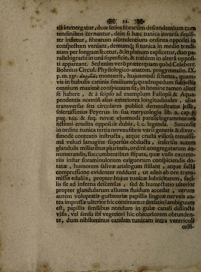 ; ; : «S( U- . )96 tia immergatur, duae feries librarum defeendentium cum tendinibus cernantur, dein fi haec tunica inverfa fimili- ter infletur, fibrarum afeendentium ordines oppofiti in conipeftum veniant, demumcj; fi tunica in medio tendi¬ num per longum fecetur, & in planum explicetur, duo pa- rallelogrami in una luperficie, & totidem in altera oppofi¬ ti appareant. Sed enim verb praeterquam qu6d Celeber r, Bonnius Circul. Phyfiologico-anatom, progymnafin. IX. p.m.137. **efi*tmonuerit, hujusmodi fchema, quam¬ vis in bubulis caninis fimiliumq; quadrupedum ihbje&is omnium maximi confpicuum fit, in homine tamen aliter fe habere , & a feipfo ad exemplum Fallopii & Aqua- pendentis nonnifi alias exteriores longitudinales , alias transverfas feu circulares publice demonftratus jeffe, folertiffimus Peyerus in lua merycologia lib. 2. cap.7, pag. i<>2. & feq. novae ejusmodi parallelogrammorum fiftioni erudita oppofuit dubia, 1. c. legenda. Succedit in ordine tunica tertia nervea fibris varii generis &diver- fimode contextis inftru&a, atque crufta villola tenuifli- ma veluti lanugine fuperius obdufta , inferius autem glandulis miliaribus plurimis, ordini congregatarum an¬ numerandis, fuccumbentibus ftipata, quae vafis excreto¬ riis inftar foraminulorum exiguorum conlpiciendis do¬ tatae , humorem lalivae analogum ftillant , atque fafta compreffione evidenter reddunt, ut adeo ab ore trans- miflls eduliis , propter hujus tunicae lubricitatem, faci¬ lis fit ad inferna defcenfiis , fed & humeflatio ulterior propter glandularum alluens fluidum accedat , utrum autem voluptatis gultatoriae papillis linguae nerveis an¬ tea impreffae ulterior hic continuetur fenfatio ? ambiguum eft, papillis fimilibus nondum in gulae canali diftinftd vifis, vel fenfii ibi vegetiori hic oblcurioremobtunden¬ te, dum nihilominus eandem tunicam intra ventriculi orifi- ^7 . . 4