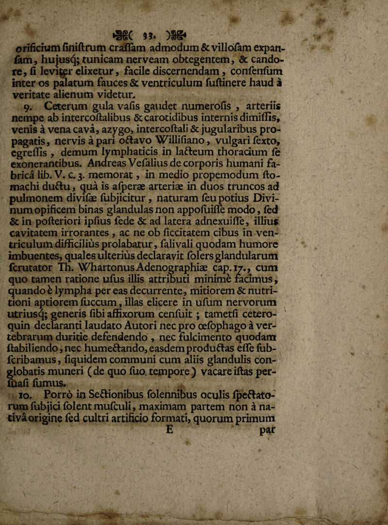 orificium finiftrum crafiam admodum & villolam expan- hujusq; tunicam nerveam obtegentem, & cando¬ re , fi levitpr elixetur, facile discernendam, confenfum inter os palatum fauces & ventriculum fuftinere haud a veritate alienum videtur. 9. Ceterum gula vafis gaudet numerofis , arteriis nempe ab intercollalibus & carotidibus internis dimilfis, venis a vena cava, azygo, intercoftali & jugularibus pro¬ pagatis, nervis a pari oftavo Willifiano, vulgari lexto, egreffis , demum lymphaticis in lafteum thoradum le exonerantibus. Andreas Vefalius de corporis humani fa¬ brica lib. V. c. 3. memorat, in medio propemodum fto- machi duftu, qua is afperae arteriae in duos truncos ad pulmonem divife fubjicitur, naturam feu potius Divi- mun opificem binas glandulas non appoluiffe modo, ftd & in pofteriori ipfius fede & ad latera adnexuifife, illius cavitatem irrorantes, ac ne ob ficcitatem cibus in ven- triculumdiffidlius prolabatur, falivali quodam humore imbuentes, quales ulterius declaravit folers glandularum fcrutator Th. WhartonusAdenographiae cap.17., cum quo tamen ratione ufus illis attributi minimi radmus, quando fe lympha pereas decurrente, mitiorem & nutri- tioni aptiorem fuccum, illas elicere in ufum nervorum utriusq; generis fibi affixorum cenliiit; tametfi cetero- quin declaranti laudato Autori nec pro oelophago a ver¬ tebrarum duritie defendendo , nec fulcimento quodam liabiliendo,nec humeflando, easdem produftas eflefub- fcribamus, fiquidem communi cum aliis glandulis con¬ globatis muneri (de quo luo. tempore) vacare illas per- uiafi fiimus. *», 10. Porro in Seftionibus folennibus oculis lpeflato- rumlubjicilolentmufculi, maximam partem non a na¬ tiva origine fed cultri artificio formati, quorum primum ;’;V ■ E par \ /