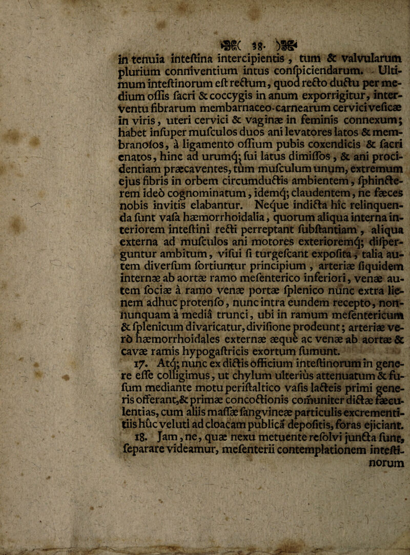 mc «g- )w in tenuia inteftina intercipientis , tum & valvularum plurium conniventium intus confpiciendarum. Ulti¬ mum inteftinorum eft refhim, quod refto duftu per me¬ dium olfis facri & coccygis in anum exporrigitur, inter¬ ventu fibrarum membarnaceo-carnearum cerviciveficae in viris, uteri cervici & vaginae in feminis connexum; habet inluper mufculos duos ani levatores latos & mem¬ brandos, a ligamento olfium pubis coxendicis & facri enatos, hinc ad urum^ fui latus dimiffos, & ani proci¬ dentiam praecaventes, tum mufculum unum, extremum ejus fibris in orbem circumduftis ambientem, Iphinfte- rem ideo cognominatum, idemq; claudentem, ne faeces nobis invitis elabantur. Neque inditta hic relinquen¬ da funt vala haemorrhoidalia, quorum aliqua interna in¬ teriorem inteftini refti perreptant iubftantiam, aliqua externa ad mufculos ani motores exteriorem^; difper- guntur ambitum, vifui fi turgefeant expolita, talia au¬ tem diverlum fortiurrtur principium , arteriae fiquidem internae ab aortae ramo mefenterico inferiori, venae au¬ tem fociae a ramo venae portae Iplenico mine extra lie¬ nem adhuc protenfo, nunc intra eundem recepto, non- nunquam a media trunci, ubi in ramum mefentericum Sc fplenicum divaricatur, divifione prodeunt; arteriae ve- rd haemorrhoidales externae aeque ac venae ab aortae & cavae ramis hypogaftricis exortum fumunt. 17. Atq; nunc ex diftis officium inteftinorum in gene¬ re efle colligimus, ut chylum ulterius attenuatum & fu- fum mediante motuperiftaltico vafis lafteis primi gene¬ ris offerant,& primae concoftionis comuniter diftae fecu- lentias, cum aliis mafiTae langvineae particulis excrementi- tiis huc veluti ad cloacam publica depofitis, foras ejiciant. 18. Jam,ne, quae nexu metuente refolvi junftafune, feparare videamur, mefenterii contemplationem intefti¬ norum