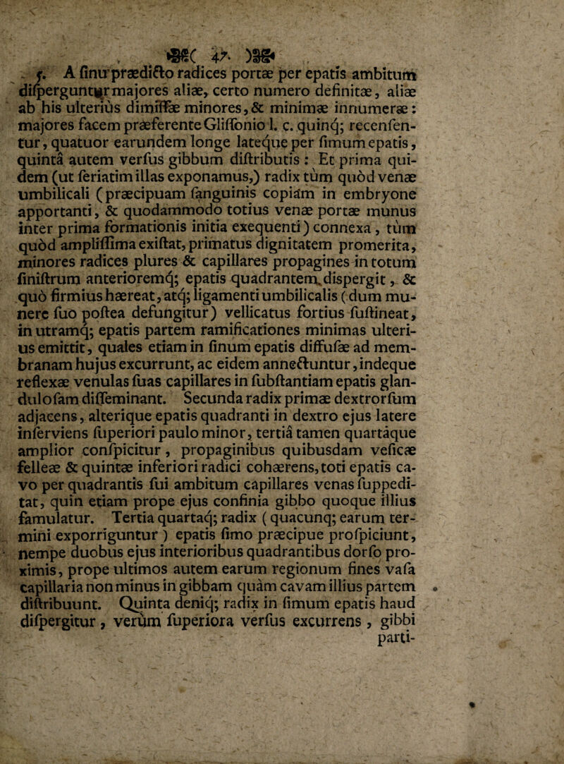 mc ik m , j. A finu praedifto radices portae per epatis ambitum di<perguntB_r majores aliae, certo numero definitae, aliae ab his ulterius dimrffae minores,& minimae innumerae: majores facem praeferente Gliflonio 1. c. quinq; recenfen- tur, quatuor earundem longe lateque per fimum epatis, quinta autem verfus gibbum diftributis : Et prima qui¬ dem (ut feriatim illas exponamus,) radix tum quod venae umbilicali (praecipuam fanguinis copiam in embryone apportanti, & quodammodo totius venae portae munus inter prima formationis initia exequenti) connexa, tum qu6d ampliflimaexiftat,primatus dignitatem promerita, minores radices plures & capillares propagines in totum finiftrum anteriorem^; epatis quadrantem,dispergit, Sc quo firmius haereat, atcj; ligamenti umbilicalis (dum mu¬ nere fuo poftea defungitur) vellicatus fortius fuftineat, in utramq; epatis partem ramificationes minimas ulteri¬ us emittit, quales etiam in finum epatis diffufae ad mem¬ branam hujus excurrunt, ac eidem anneftuntur, indeque reflexae venulas luas capillares in fubftantiam epatis glan- dulofam difieminant. Secunda radix primae dextrorfum adjacens, alterique epatis quadranti in dextro ejus latere inftrviens ftiperiori paulo minor, tertia tamen quartaque amplior confpicitur, propaginibus quibusdam veficae felleae & quintae inferiori radici cohaerens, toti epatis ca¬ vo per quadrantis fui ambitum capillares venas fuppedi- tat, quin etiam prope ejus confinia gibbo quoque illius famulatur. Tertia quartaq; radix (quacunq; earum ter¬ mini exporriguntur ) epatis fimo praecipue profpiciunt, nempe duobus ejus interioribus quadrantibus dorfo pro¬ ximis, prope ultimos autem earum regionum fines vafa capillaria non minus in gibbam quam cavam illius partem diftribuunt. Quinta deniq; radix in fimum epatis haud difpergitur, verum fuperiora verfus excurrens , gibbi parti-