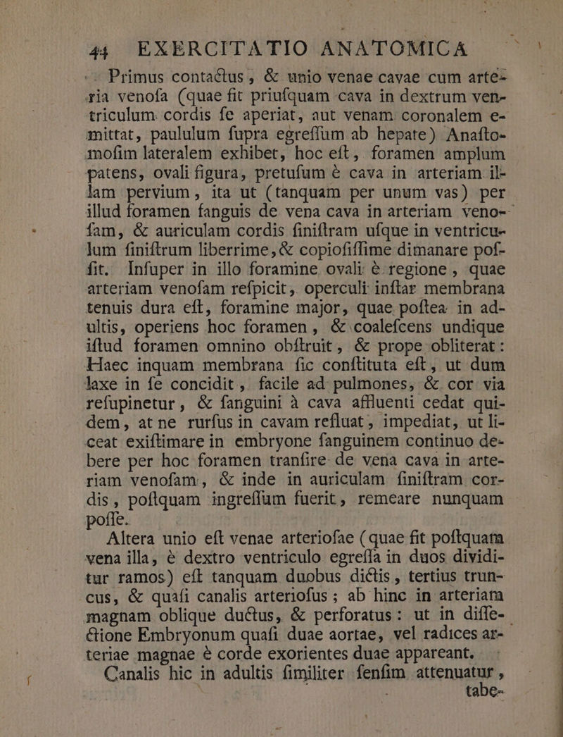 .« Primus contactus , &amp; unio venae cavae cum arte- ria venofa (quae fit priufquam cava in dextrum ven- triculum. cordis fe aperiat, aut venam. coronalem e- mittat, paululum fupra egreffum ab hepate) Anafto- mofim lateralem exhibet, hoc eft, foramen amplum patens, ovali figura, pretufum &amp; cava in arteriam il- lam pervium, ita ut (tanquam per unum vas) per fam, &amp; auriculam cordis finiftram ufque in ventricu- lum finiftrum liberrime, &amp; copiofiffime dimanare pof- fit. Infuper in illo foramine ovali é.regione , quae arteriam venofam refpicit ,. operculi inftar membrana tenuis dura eft, foramine major, quae poftea in ad- ultis, operiens hoc foramen , &amp; coalefcens undique iflud foramen omnino obflruit, &amp; prope obliterat : Haec inquam membrana fic conflituta eft, ut dum laxe in fe concidit, facile ad: pulmones, &amp; cor via refupinetur, &amp; fanguini à cava affluenti cedat qui- dem, at ne rurfus in cavam refluat , impediat, ut li- ceat exiftimare in embryone fanguinem continuo de- bere per hoc foramen tranfire- de vena cava in arte- riam venofam, &amp; inde in auriculam finifílram cor- dis, poftquam ingreffum fuerit, remeare nunquam potle. vena illa, é dextro ventriculo egreíla in duos dividi- tur ramos) eft tanquam duobus dictis, tertius trun- cus, &amp; quafi canalis arteriofus ; ab hinc in arteriam &amp;ione Embryonum quafi duae aortae, vel radices ar- teriae magnae e corde exorientes duae appareant. Canalis hic in adultis fimiliter. fenfim atfennabie ; tabe-