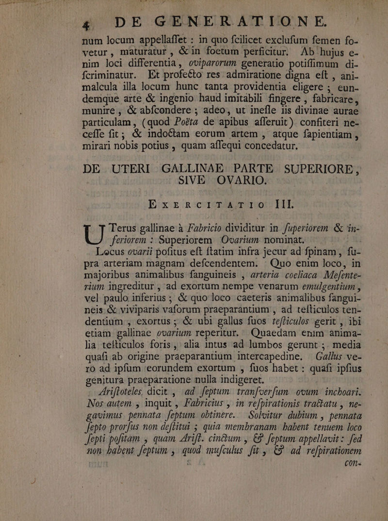 diua 4 DE CENERANISNE S ' num locum appellaffet : in quo fcilicet exclufum femen fo- vetur, maturatur, &in foetum perficitur. Ab hujus e- nim loci differentia, oviparorum generatio potiffimum di- fcriminatur. Et profecto res. admiratione digna eft , ani- malcula illa locum hunc tanta providentia eligere ; eun- demque arte & ingenio haud imitabili fingere , fabricare, munire , & abícondere ; adéo, ut inefle iis divinae aurae particulam , (quod Po?;a de apibus aíferuit) confiteri ne- ceífe fit; & indoctam eorum artem , atque fapientiam , mirari nobis potius , quam affequi concedatur. DE UTERI GALLINAE PARTE SUPERIORE, SIVE OVARIO. E:xzaca4mmoerugot IHE . T Terus gallinae à Fabricio dividitur in fuperiorem & in- J feriorem : Superiorem | Ovarium. nominat. n. 3 Locus ovarii pofitus eft ftatim infra jecur ad fpinam, fu- pra arteriam magnam defcendentem. | Quo enim loco, in majoribus animalibus fanguineis , arteri« coeliaea Mefente- rium ingreditur , ad exortum nempe venarum emulgentium , vel paulo inferius ; & quo loco caeteris animalibus fangui- neis. & viviparis vaforum praeparantium , ad telticulos ten- denüum , exortus ; & ubi gallus fuos tefZiculos gerit , ibi etiam gallinae ovarium reperitur. Quaedam enim àanima- lia tefticulos foris, alia intus ad lumbos gerunt ;. media quafi ab origine praeparantium intercapedine. Gallus ve- .10 ad ipfum 'eorundem exortum , fuos habet : quafi ipfius genitura praeparatione nulla indigeret. - Zhrifloteles, dicit , ad feptum. tranfoerfum ovum ' incboari. Nos autem. , inquit , Fabricius , in refpirationis tra&atu , me- gavimus. pennata Jeptum. obtinere. — Solvitur. dubium , pennata Jepto prorfus non deflitui 5. quia membranam. babent. tenuem. loco Jepti pofitam, quam Arift. cin&um , C9 feptum appellavit : fed non. babent feptum., quod mu[culus fit ,- 9 ad re[pirationem | cons