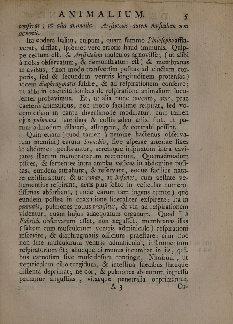 U* D -. conferüt ; ut alia animalia. .— Arifloteles autem: mu[culum mon. agnovit. 2 | Ita eodem halitu, culpam , quam fummo Philofopboaffla- verat, difflat, ipfemet vero erroris haud immunis. Quip- pe certum eft, &amp; Zri[Lotelem mufculos agnoviffe; (ut alibi à nobis obféervatum , &amp; demonftratum elt) &amp; membranas in avibus, (non modo tranfverfim, pofitas ad. cin&amp;tum cor- poris, fed &amp; fecundum ventris longitudinem protenfas ) vicem diapbragmatis fübire, &amp; ad refpiranonem conferre ; ut alibi in exercitationibus de refpiratione animalium lucu- lenter probavimus. Et, ut alia nunc taceam, avis, prae caeteris animalibus, non modo facillime refpirat, fed vo- cem etiam in cantu diverfimode modulatur: cum tamen ejus pulmones lateribus &amp; coftis adeo affixi fint, ut pa- rum admodum dilatari, affurgere, &amp; contrahi poffint. Quin etiam (quod tamen à nemine hactenus obferva- tum memini) earum Zroncbia, five afperae arteriae fines in abdomen perforantur, aéremque infpiratum intra cavi- 1ates illarum membranarum recondunt. Quemadmodum pifces, &amp; ferpentes intra amplas veficas in abdomine pofi- tas, eundem attrahunt; &amp; refervant; eoque facilius nata- re exiftimantur: &amp; ut ranae, ac bufones, cum aeftate ve- hementius refpirant, aéris plus folito in. veficulas numerc- fiffrnas abforbent, (unde earum tam ingens tumor) quó eundem poftea in coaxatone liberalhter exfpirent: [ta in pennatis ,, pulmones potius tranfitus, &amp; via ad refpirationem videntur, quam hujus adaequatum organum. Quod fi à Fabricio obfervatum effet, non negaflet, membranas illas (faltem cum mufculorum ventris adminiculo) refpirationi infervire, &amp; diaphragmatis officium praeftare: cüm hoc non fine mufculorum ventris adminiculo , inftrumentum refpiratorium fit; aliudque ei munus incumbat in iis, qui- bus carnofum (ive mufculofum contingit. Nimirum, ut ventriculum cibo turgidum, &amp; inteftina faecibus flatuque diftenta deprimat; ne cor, &amp; pulmones ab-eorum ingreffu patiantur angufüias , vitaeque penetralia opprimantur, 3 Cu- eric aee qa e n .