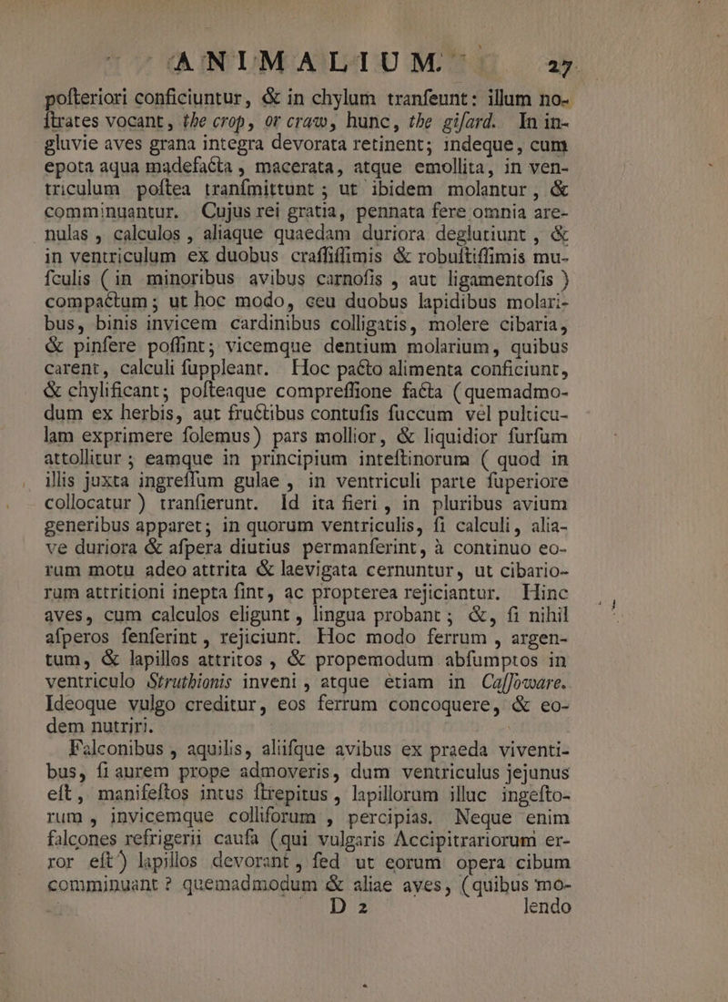CANIMALIUM' /—ox pofteriori conficiuntur, & in chylum tranfeunt: illum no- Ítrates vocant, (be crop, or craw, hunc, tbe gifard. In in- gluvie aves grana integra devorata retinent; indeque, cum epota aqua madefacta , macerata, atque emollita, in ven- triculum poftea tranfmittunt ; ut ibidem molantur , & comminuantur. Cujus rei gratia, pennata fere omnia are- nulas , calculos , aliaque quaedam duriora deglutiunt , & in ventriculum ex duobus craffiffimis & robultiffimis mu- fculis ( in minoribus avibus carnofis , aut ligamentofis ) compactum ; ut hoc modo, ceu duobus lapidibus molari- bus, binis invicem cardinibus colligatis, molere cibaria, & pinfere poffint; vicemque dentium molarium, quibus carent, calculi fuppleant. Hoc pacto alimenta conficiunt, & chylificant; pofteaque compreffione facta (quemadmo- dum ex herbis, aut fructibus contufis fuccum vel pulticu- lam exprimere folemus) pars mollior, & liquidior furfum attolitur ; eamque in principium inteftinorum ( quod in ilis juxta ingreffum gulae , in ventriculi parte fuperiore collocatur ) tranfierunt. d ita fieri , in pluribus avium generibus apparet; in quorum ventriculis, f1 calculi, alia- ve duriora & afpera diutius permanferint, à continuo eo- rum motu adeo attrita & laevigata cernuntur, ut cibario- rum attritioni inepta fint, ac propterea rejiciantur. Hinc aves, cum calculos eligunt , lingua probant ; &, fi nihil afperos fenferint, rejiciunt. Hoc modo ferrum , argen- tum, & lapillos attritos , & propemodum abfumptos in ventriculo Srtrutbionió inveni , atque etiam in Caf[Joware. Ideoque vulgo creditur, eos ferrum concoquere, & eo- dem nutriri. j Falconibus , aquilis, alifque avibus ex praeda viventi- bus, fiaurem prope admoveris, dum ventriculus jejunus eft, manifeftos intus flrepitus , lapillorum illuc ingefto- rum , invicemque colliforum , percipias. Neque enim falcones refrigerii caufa (qui vulgaris Accipitrariorum er- ror eft^ lapillos devorant, fed. ut eorum opera cibum comminuant? quemadmodum & aliae aves, (quibus mo- du D ME LE lendo