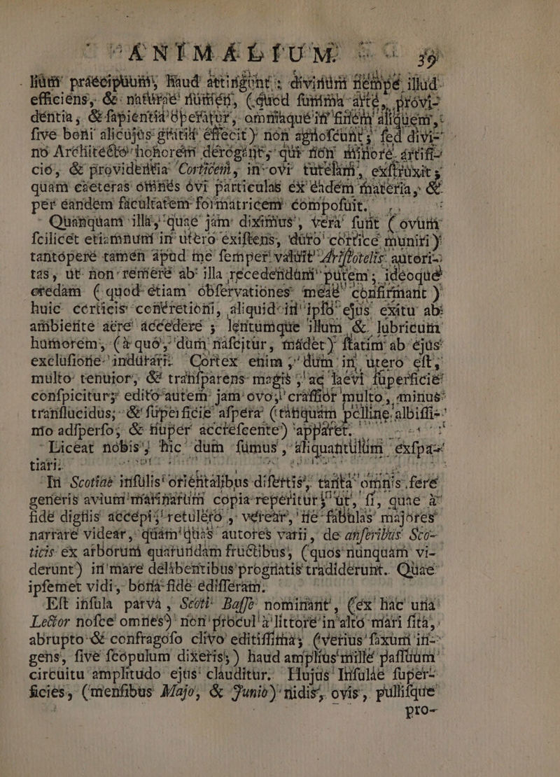dentia, &amp;fipientid ü petitur; ommtaqué ii Gels aliquem, ció, &amp; providEmtia Coricem, in-ovr tutelum, ex[uxits — &amp; tas, üt non remieré ab' illa recederidári putem is ideoque eredam ( quod étiam óbfervationes mea48 confirmarit ) cranflüeidus; -&amp; füpeificie afpera (eàtiquim pellinealbiffi-: nio adlperfo; &amp; tuper ácctéfcente? 'apparet. M co- tiarh uot Imm  ' In Scotiae itfülis' orientalibus difettis, tarifa omnis fere. dum fümus,'&amp;