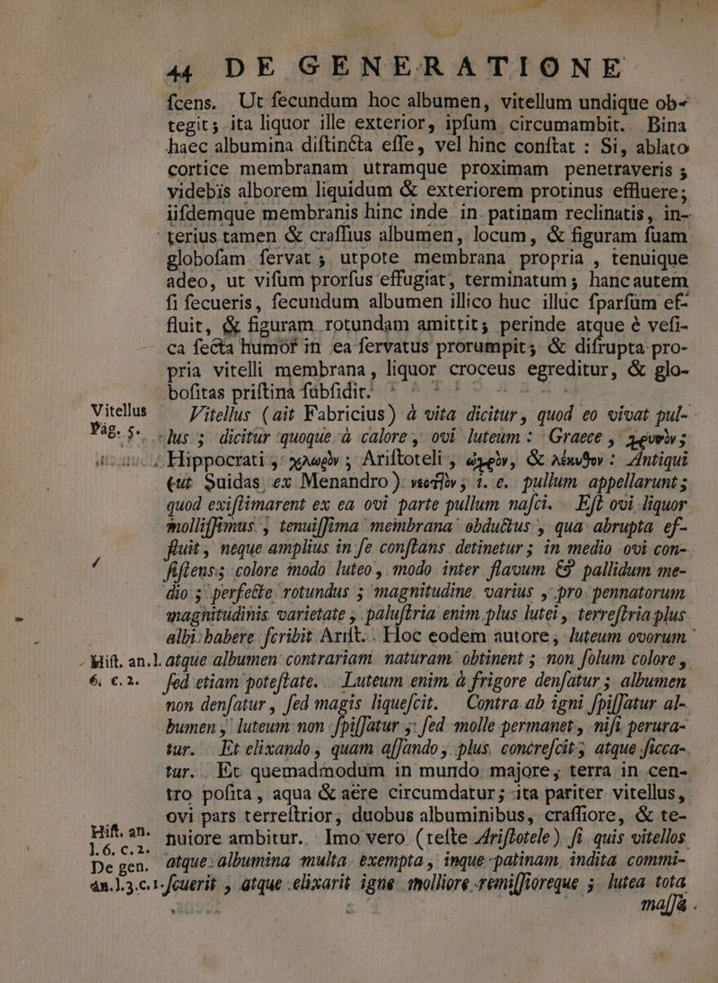 Pág. 5. - t 2] 4 DE GENERATIONE fcens, Ut fecundum hoc albumen, vitellum undique ob^ tegit 5 ita liquor ille exterior, ipfum. circumambit. Bina haec albumina diftincta effe, vel hinc conftat : Si, ablato cortice membranam utramque proximam penetraveris 5 videbis alborem liquidum &amp; exteriorem protinus effluere; iifdemque membranis hinc inde. in. patinam reclinatis, in- globofam fervat ; utpote membrana propria , tenuique adeo, ut vifüm prorfus effugiat, terminatum ; hancautem fi fecueris, fecundum albumen illico huc illic fparfüm ef- fluit, &amp; figuram rotundam amittit; perinde atque é vefi- bofitas priftina fübfidir. | Vitellus (ait Fabricius) 4 vita dicitur, quod eo vivat pul- - pria vitelli membrana, liquor croceus egreditur, &amp; glo- (ut Suidas, ex Menandro ): vsodiiv 1. e... pullum. appellarunt ; quod exiflimarent ex ea ovi parte pullum nafci. . Efe ovi liquor fiuit , neque amplius in fe conftans. detinetur ; in medio ovi con-.. fiflens:s colore inodo. luteo ,. modo. inter. flavum. €9. pallidum me- dio: 5 perfe&amp;te. rotundus ; magnitudine. varius , pro. pennatorum albi;babere fcribit. Arift... loc eodem autore ,-Juteum ovorum ' 2. Hift. an. l. 6. c. 2. De gen. Jed etiam poteftate... Luteum enim. à frigore denfatur ;. albumen non denfatur , fed magis liquefcit. — Contra. ab igni fpi[Jatur al- bumen ,' luteum: non ;[pilJatur 5: fed. molle permanet , mifi. perura- tur. Et elixando , quam afJando , plus. concre[cit atque .ficca-. tar... Ec quemadmodum in mundo. majore, terra in cen-. tro pofita, aqua &amp; aere circumdatur; ita pariter vitellus, ovi pars terreftrior, duobus albuminibus, craffiore, &amp; te- nuiore ambitur..: Imo vero (tefte Zriffotele) fi. quis vitellos. atque: albumina multa. exempta ,. inque -patinam. indita. commi- 2 ma[Jà . *