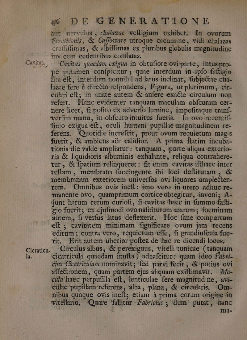 aut mnervulus , cbalamae weftigium exhibet. In ovorum Srrutbionis, &amp; Ca[[oware utroque cacumine, vidi :chalazas craffiffimas , &amp; albiffimas ex pluribus globulis magnitudine invieem cedentibus conflatas. Uu TES | Carito,. -Cavitas quaedam exigua in obtufiore ovi parte, intuspro- pe putamen conípicitur ; quae interdum in-ipfo faftigio fita eft, interdum nonnihil ad latus inclinat, fubjectae cha- laz:e fere é direGto refpondens, Figara, utplurimum, cir- cülari eft; in anate autem &amp; anfere exacte circulum non refert. Hanc evidenter tanquam maculam obícaram cer- nere licet, fi pofito ex adverfo lumine, impofitaque tranf- verífim manu, in-obícurointuitus fueris. ln ovo recentif- fimo exigua eft, oculi humani pupillae magnitudinem re- ferens. Quotidie increfcit, prout ovum requietum magis fuerit, &amp; ambiens aer calidior. A prima ítatim incuba- tionis die valde ampliatur: tanquam, parre aliqua exterio- ris &amp; liquidioris albuminis exhalante, reliqua. contrahere- tur, &amp; fpatium relinqueret: fit énim. cavitas ifthaec inter teftam , membrana fuccingente ibi loci deftitutam , &amp; inembranam exteriorem 'univerfos ovi liquores amplecten- tem. Omnibus ovis ineft: imo vero in utero adhuc re- 1Tnanente OÓvo, quamprimum corticeobtegitur, inveni; A- gunt harum rerum curiofi, fi cavitas haec in fummo fatti- gio fuerit; ex ejufmodi ovonafcituram marem; foeminam autem, fi verfus latus deflexerit. Hoc fane compertum elt ; cavitatem minimam fignifieare ovum jam recens editum ; contra vero, requietum effe, fi grandiufcula fue- rit. Erit autem uberior poftea de hac re dicendi locus. Cicraticua. Circulus albus, &amp; perexiguus, vitelli tunicae (tátiquam la. 'Cicatricula quaedam inufta) adnafcitur: quam ideo Fabri- cius Cicatriculam nominavit fed parvi fecit, &amp; potius ovi vifectionem, quam partem ejus aliquam exiftimavit. — Ma- tula haec perpufilla eft, lenticulae fere magnitud'ne, avi- culie'pupillam referens, alba, plana, &amp; circularis. 'Om- nibus quoque ovis ineft; etiam à prima eorum origine in vitellario, Quare fallitur -Zabricus ; dum putat, hanc | : ma-